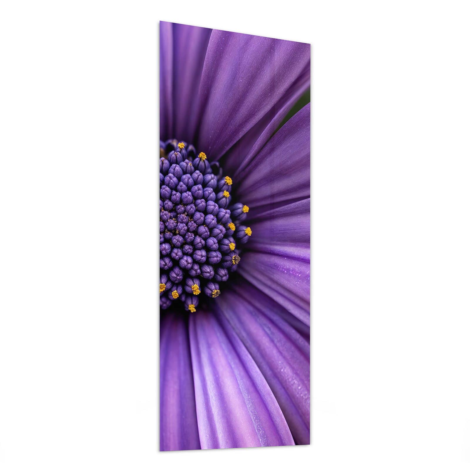 #grösse_50 x 125 cm #grösse_40 x 100 cm #grösse_60 x 150 cm