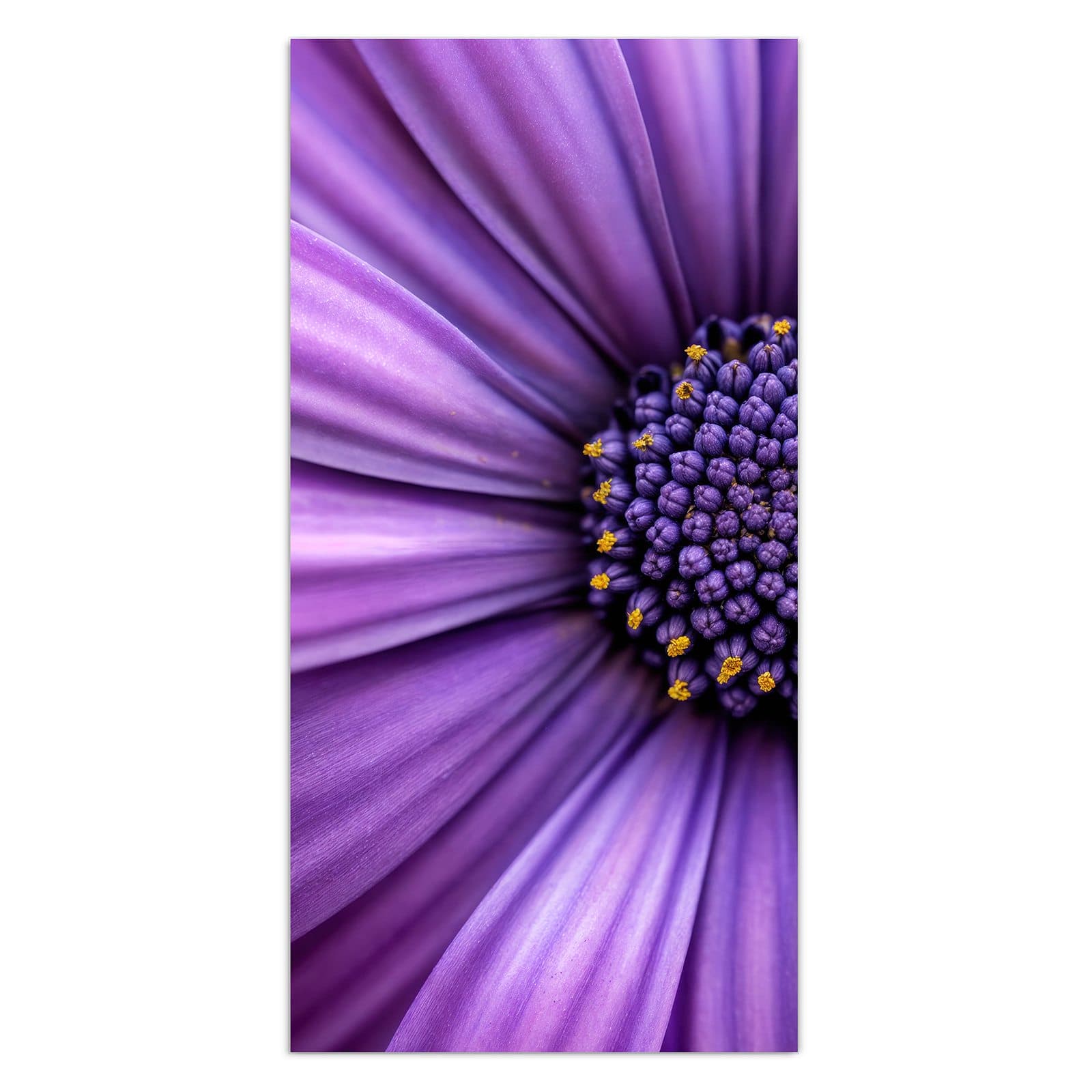 #grösse_30 x 60 cm #grösse_40 x 80 cm #grösse_50 x 100 cm #grösse_55 x 110 cm #grösse_60 x 120 cm