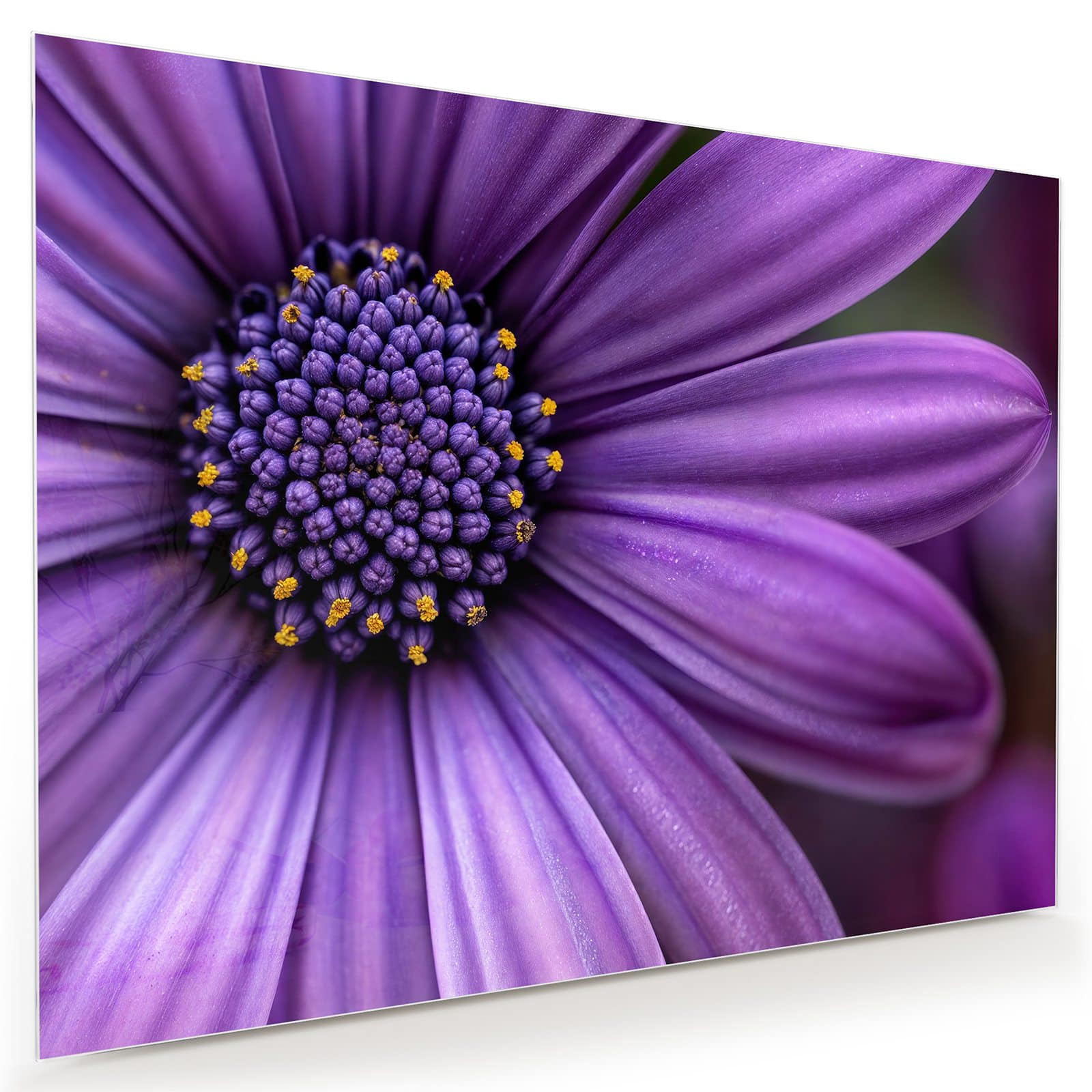 #grösse_80 x 60 cm #grösse_100 x 75 cm #grösse_120 x 90 cm