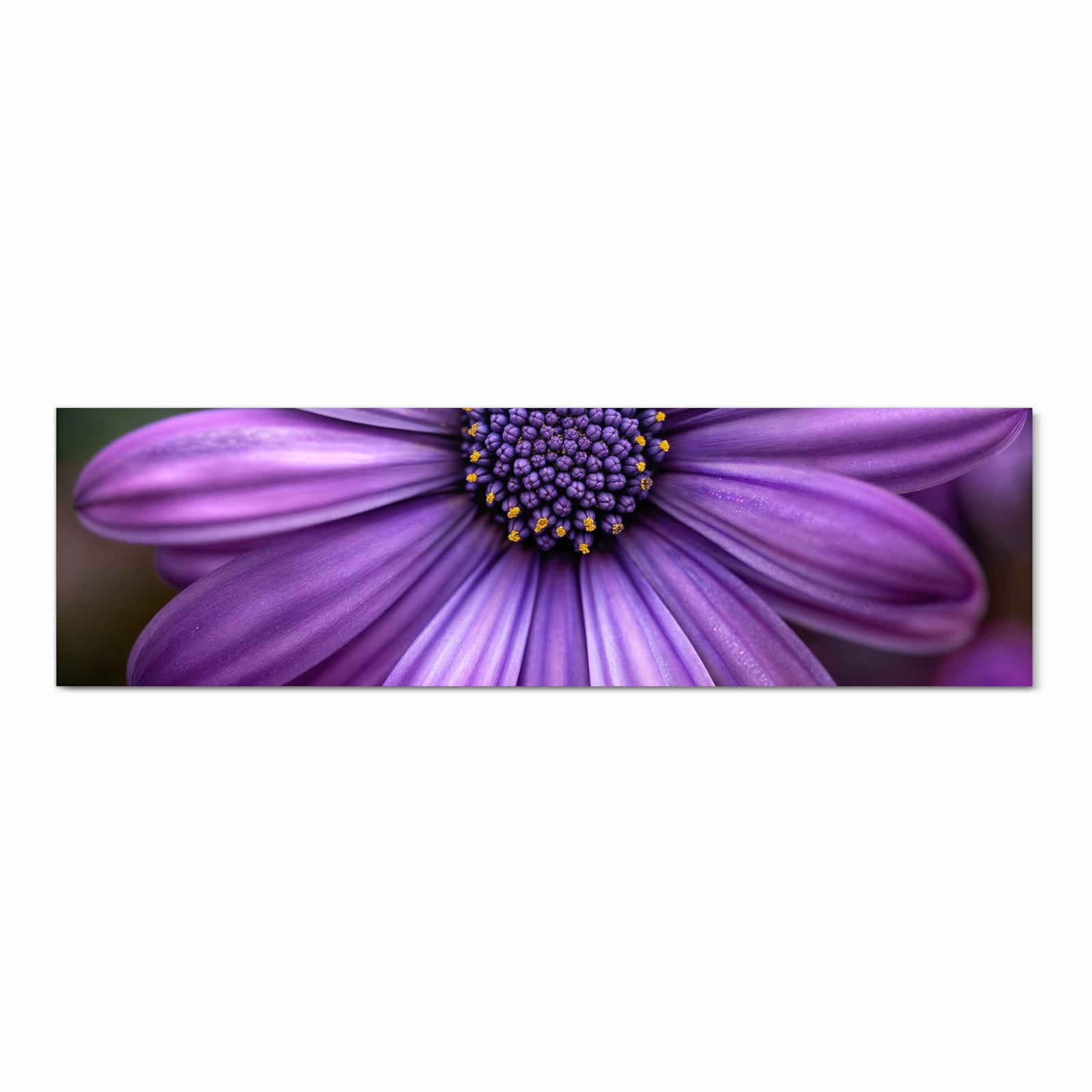 Langlebiger Küchenläufer mit Motiv Blume Nahaufnahme in Frontansicht