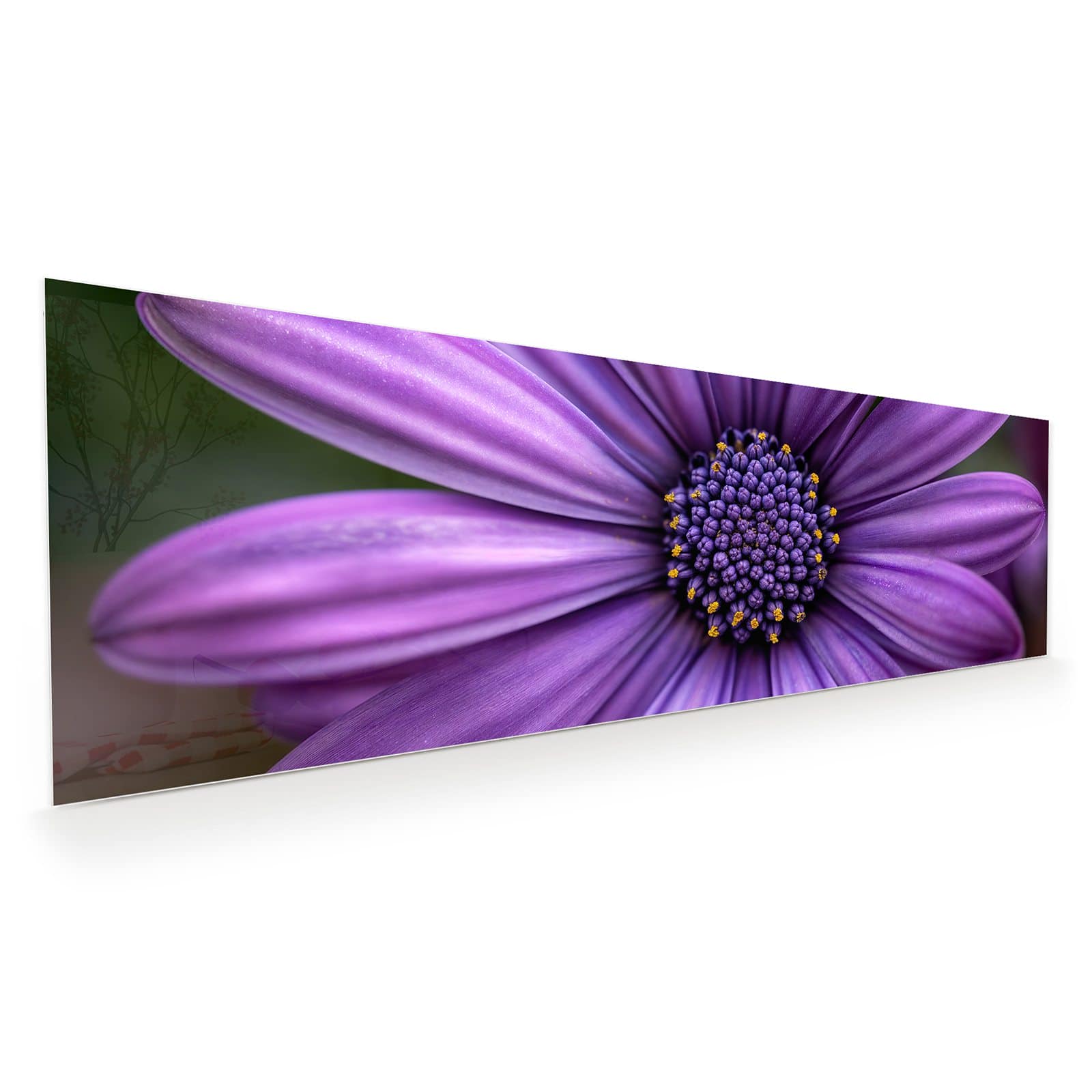 #grösse_120 x 40 cm
