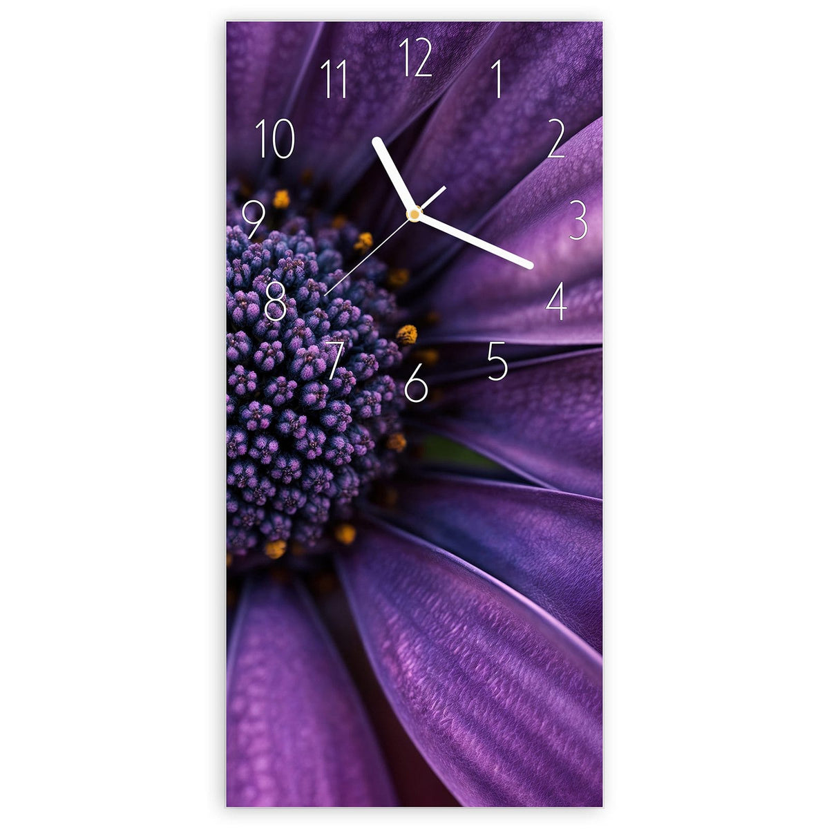 Wanduhr aus Glas, Ziffernblatt Elegant mit Motiv Violette Samtblüte: Extreme Nahaufnahme samtiger violetter Blütenblätter mit dunklem, gelb getupftem Zentrum. #ziffernblatt_Elegant