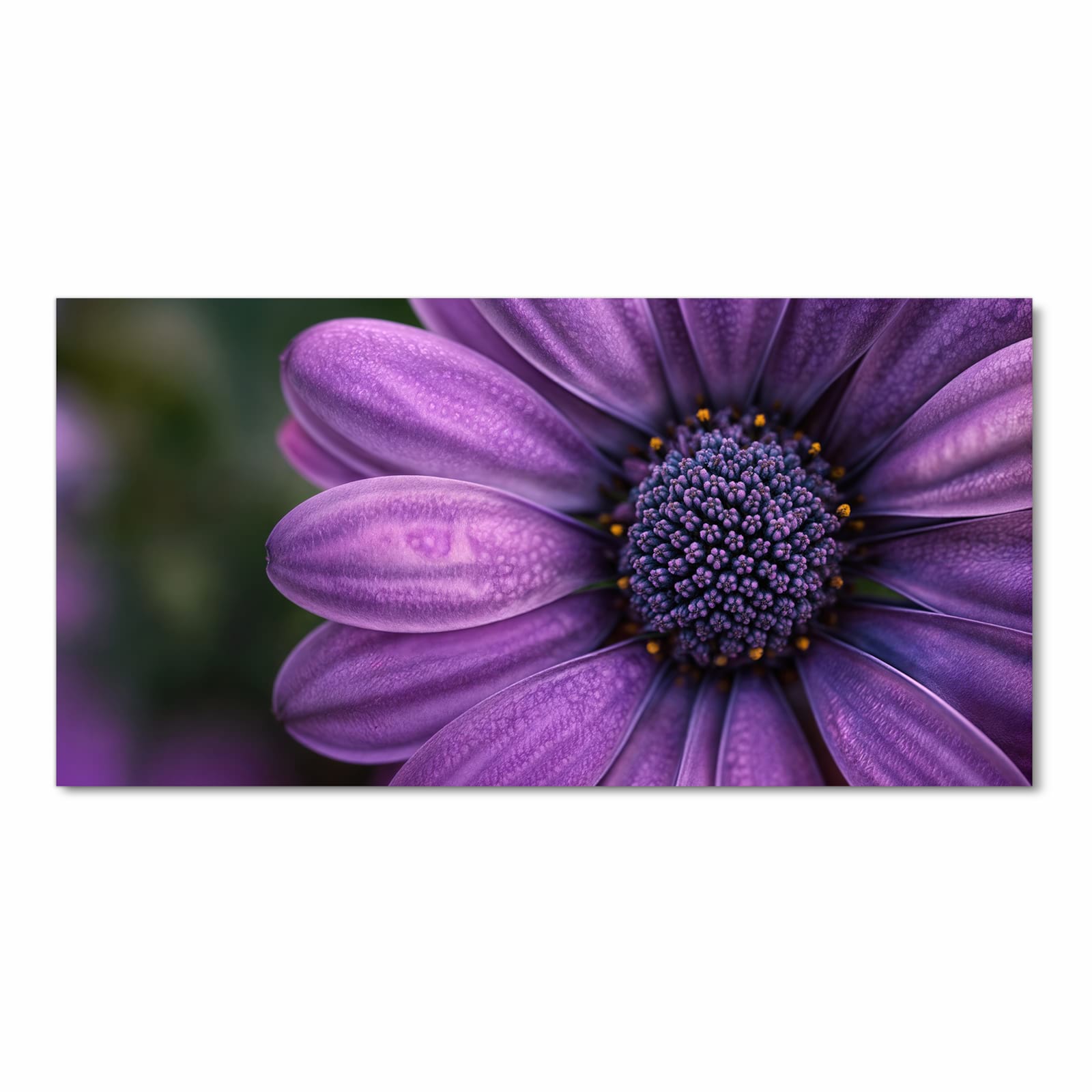 Waschbarer rutschfester Läufer mit Motiv Lila Blütenwunder in Frontansicht