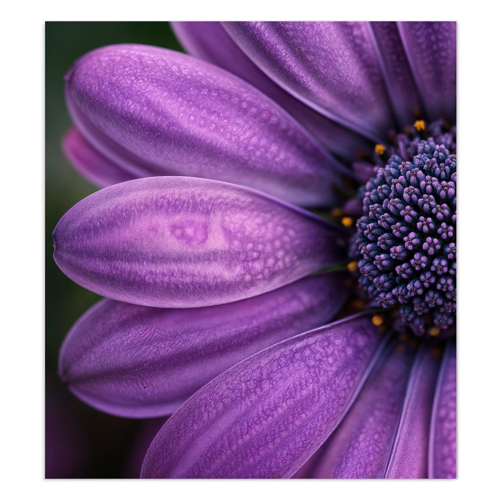 #grösse_90 x 100 cm