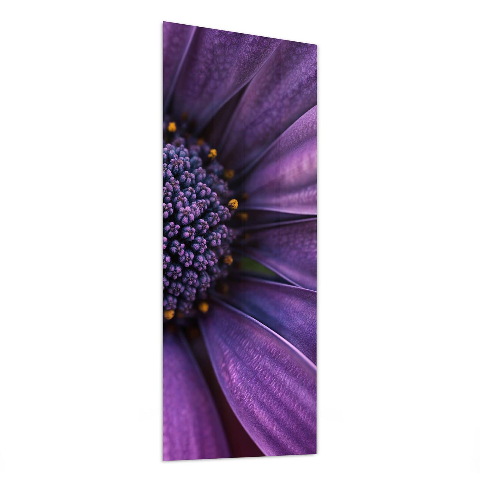 #grösse_50 x 125 cm #grösse_40 x 100 cm #grösse_60 x 150 cm