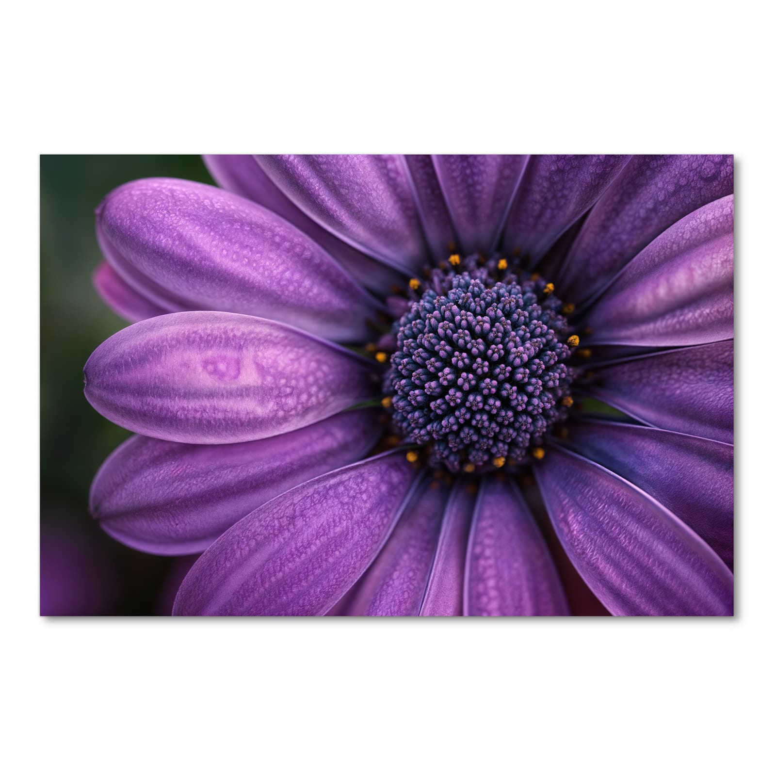 Bodenschonender rutschfester Küchenteppich mit Motiv Lila Blütenwunder in Frontansicht