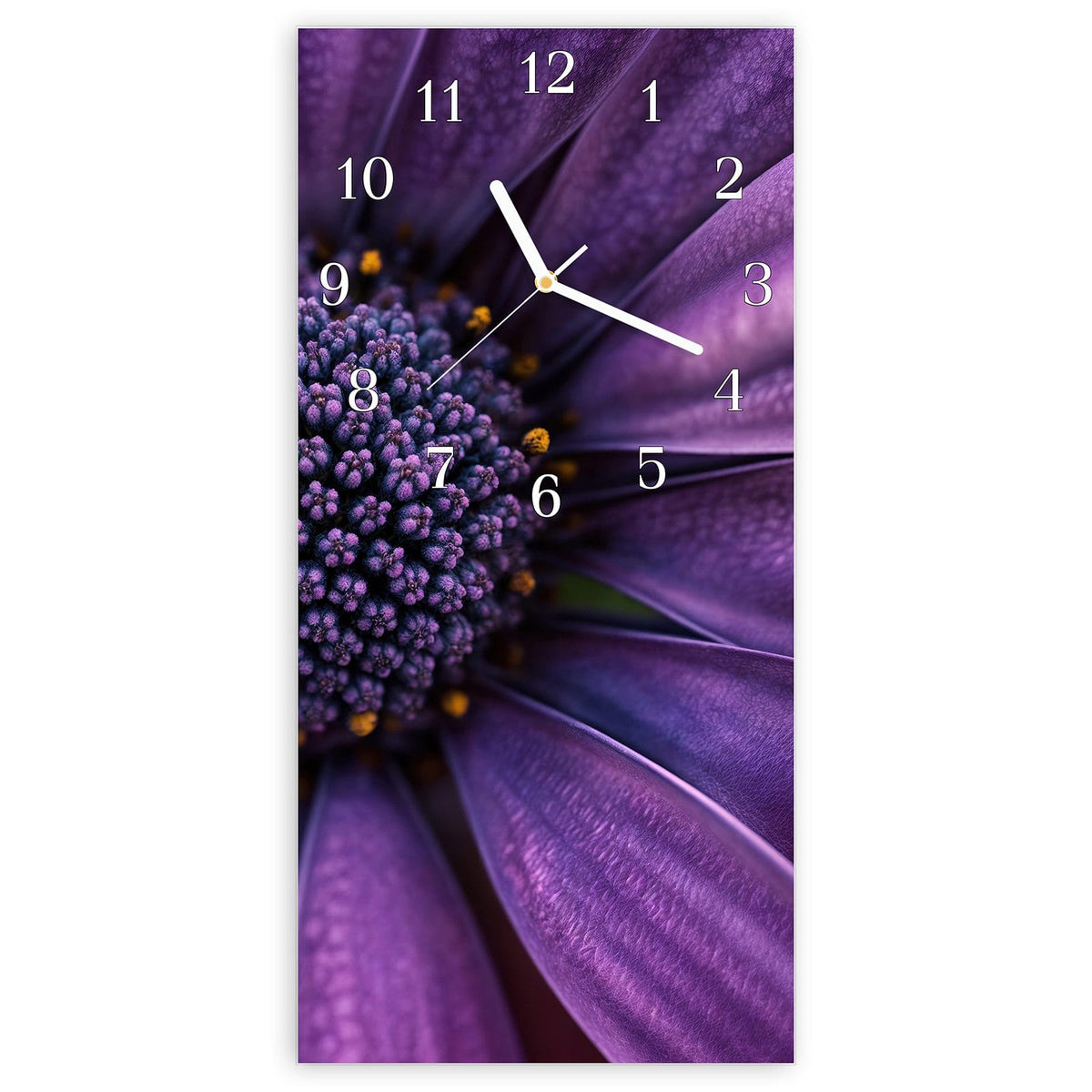 Wanduhr aus Glas, Ziffernblatt Klassisch mit Motiv Violette Samtblüte: Extreme Nahaufnahme samtiger violetter Blütenblätter mit dunklem, gelb getupftem Zentrum. #ziffernblatt_Klassisch