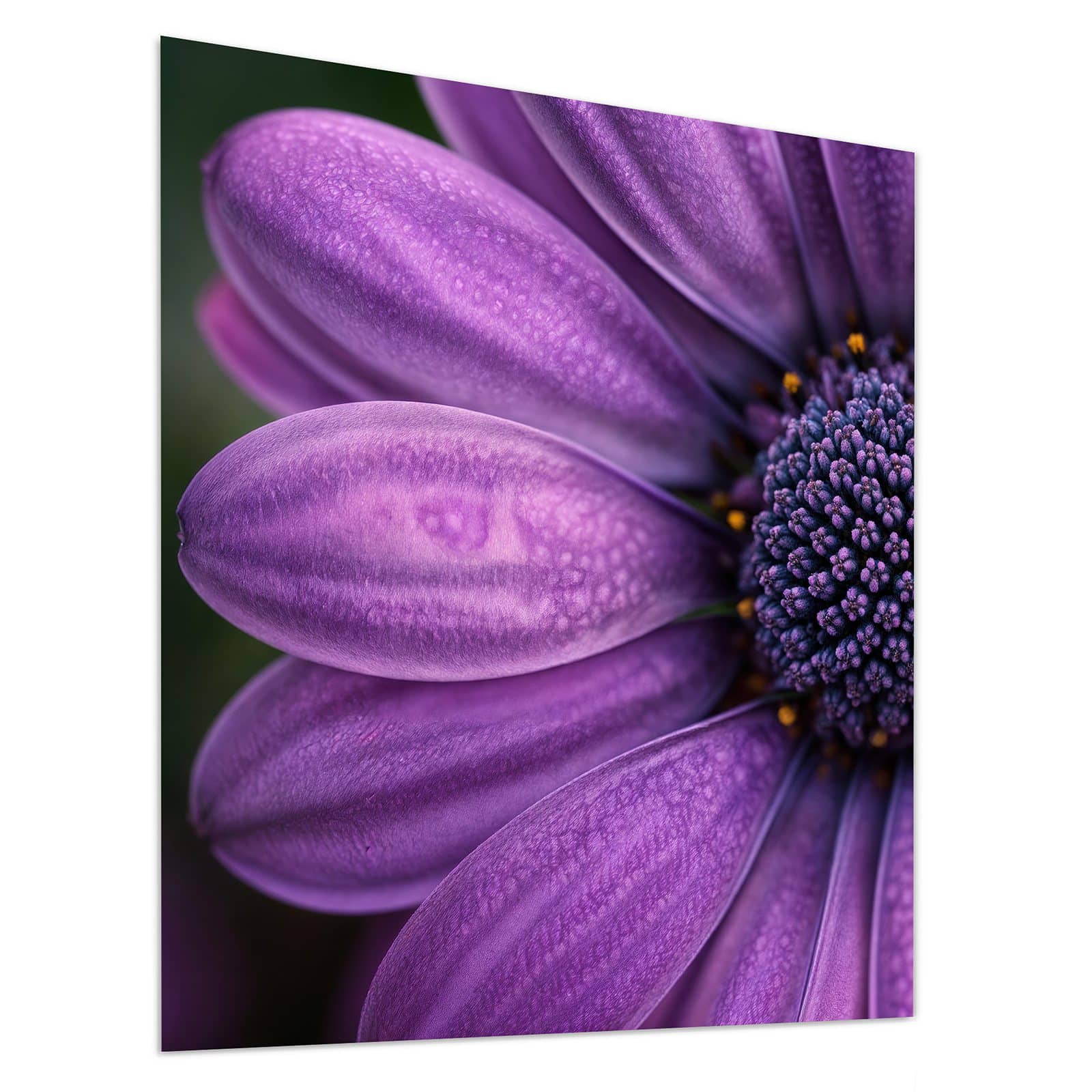 #grösse_90 x 100 cm