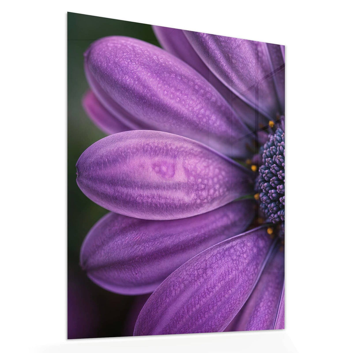 Echtglas, 4 mm – kein Acryl, keine Folie – Wandbild - Violette Samtblüte - Hochformat