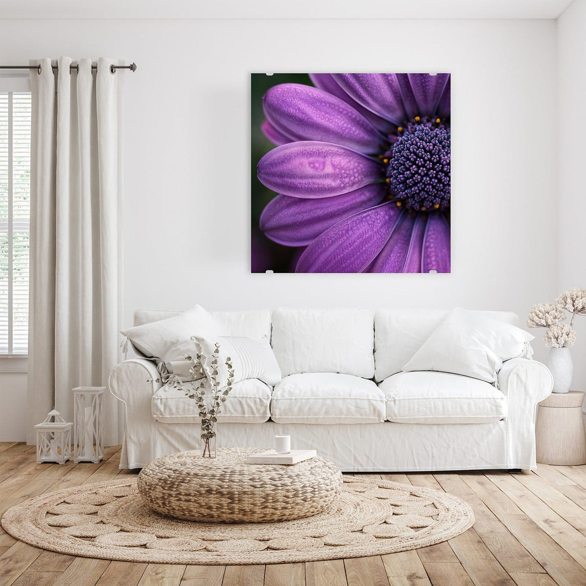 Glasbild Violette Samtblüte an der Wand – Extreme Nahaufnahme samtiger violetter Blütenblätter mit dunklem, gelb getupftem Zentrum.