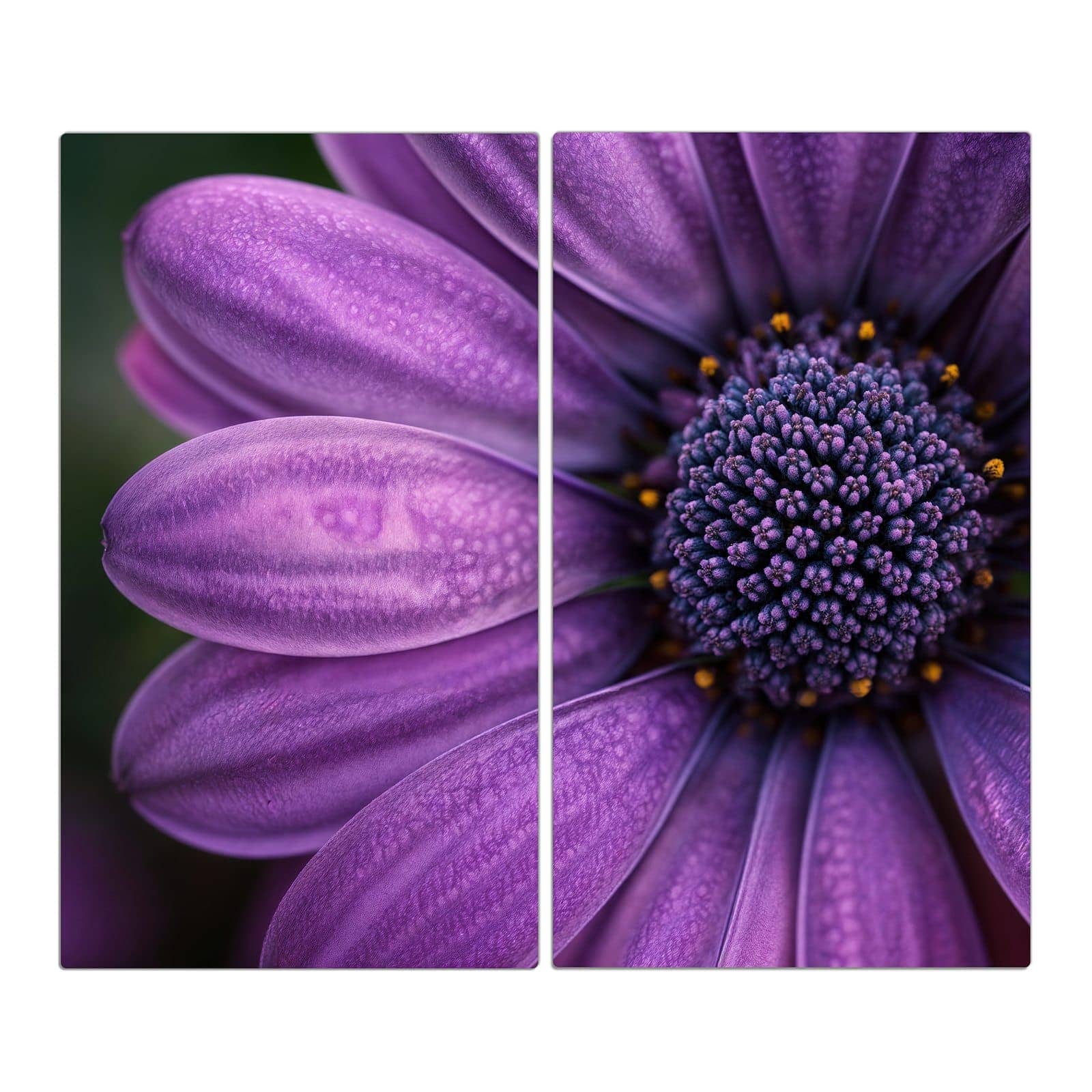 2-teilige Kochfeldabdeckung mit Lila Blütenwunder-Motiv in der Frontansicht #grösse_2-Teilig (60x52cm)