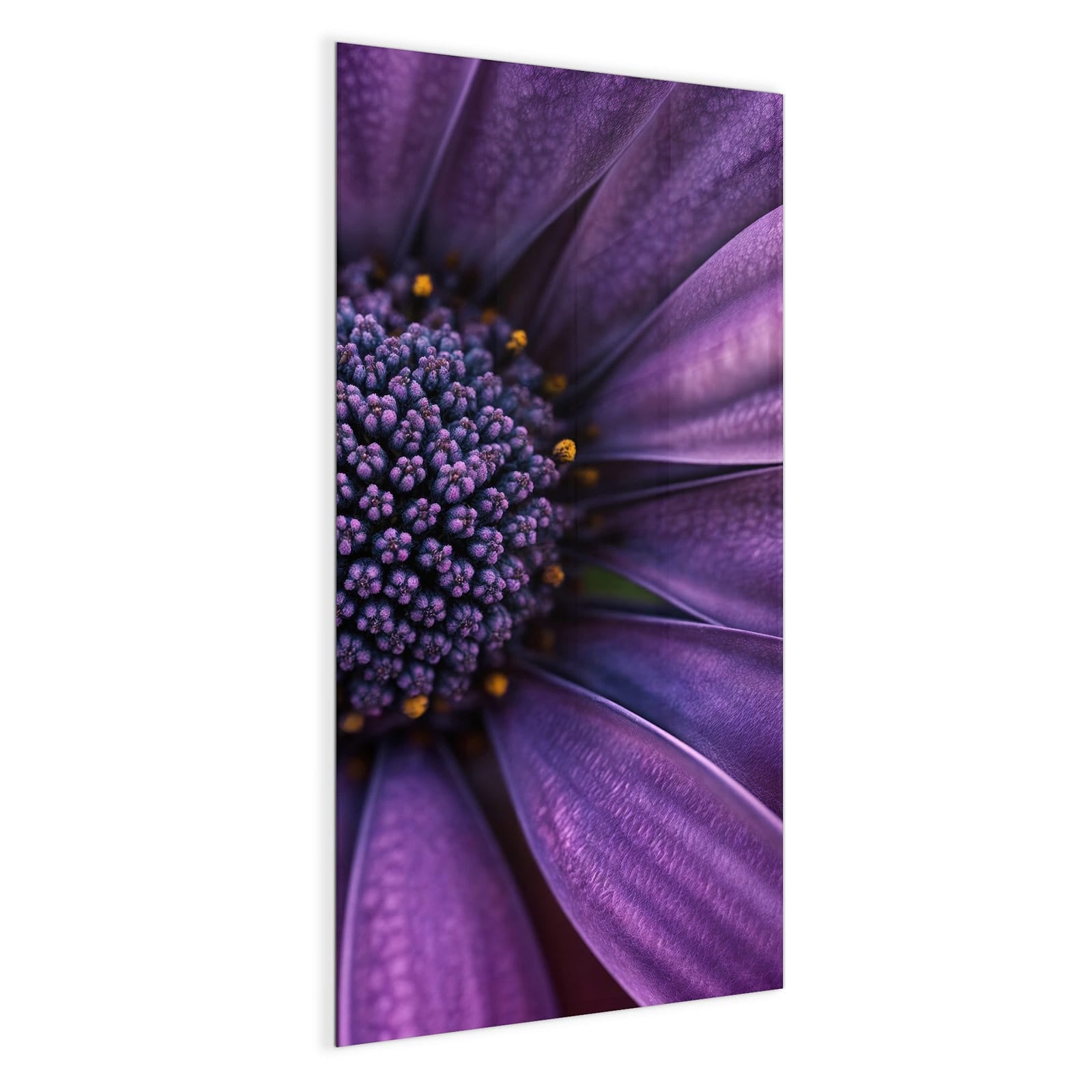 #grösse_50 x 100 cm