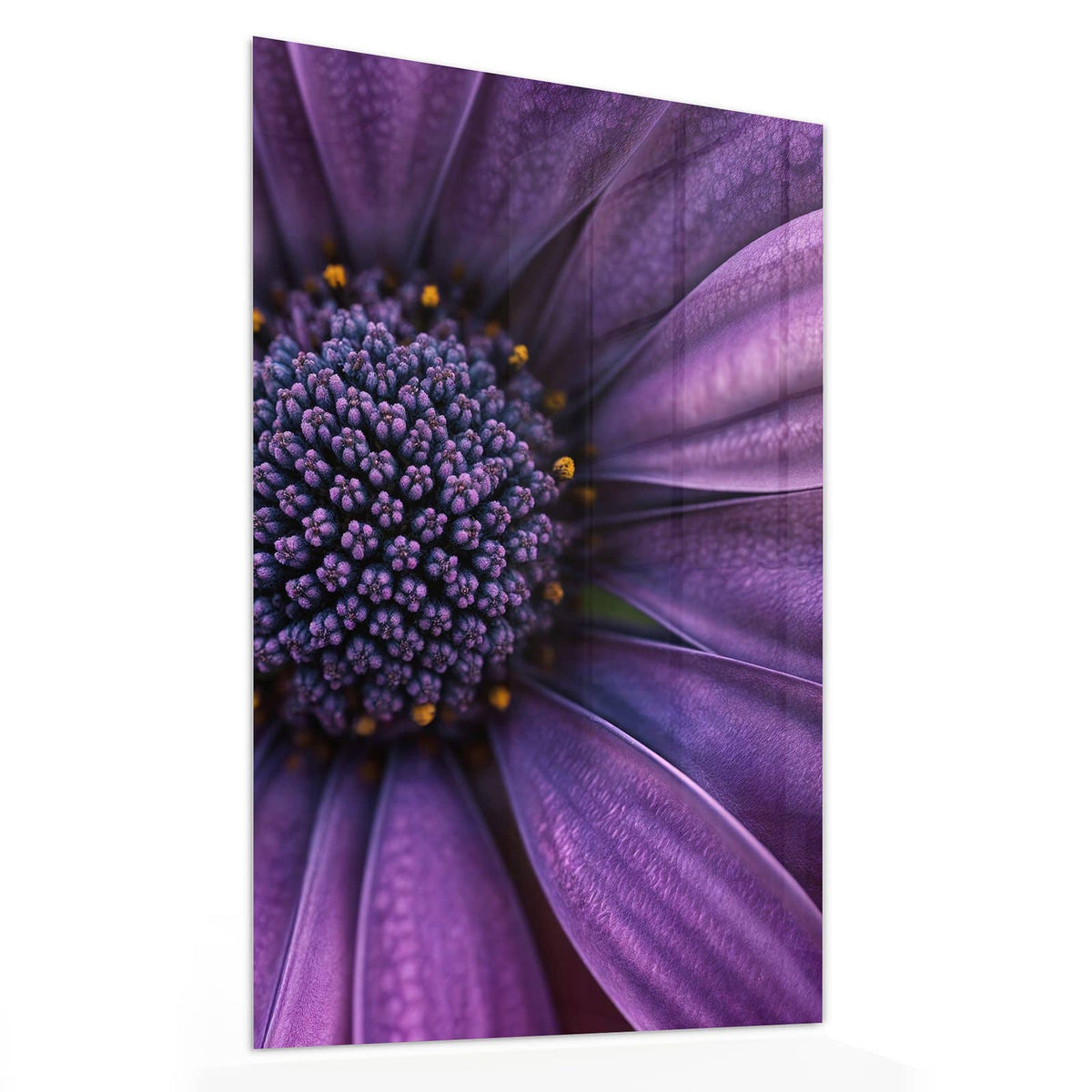 11 Größen – von 30 × 60 bis 60 × 150 cm – Wandbild - Violette Samtblüte - Hochformat
