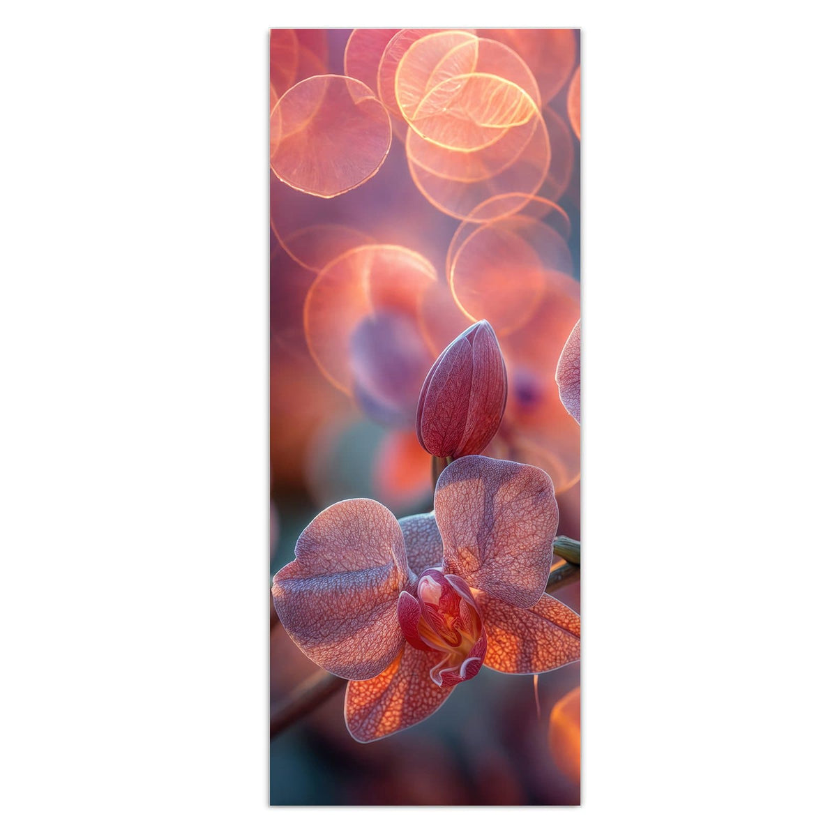 rosa Orchideenblüten vor großen orangefarbenen Lichtkreisen