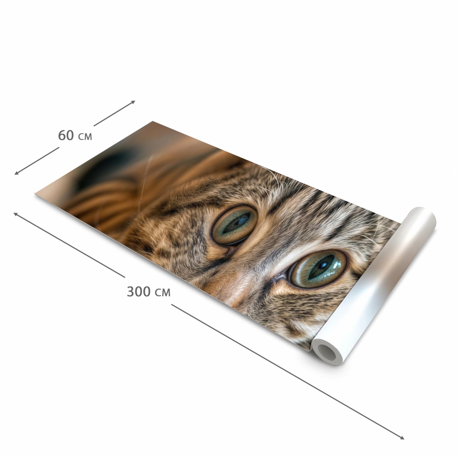 Waschbarer Küchenteppich mit Motiv Katzenschmuseerlebnis in der Grösse 60x240 cm für Trittkomfort