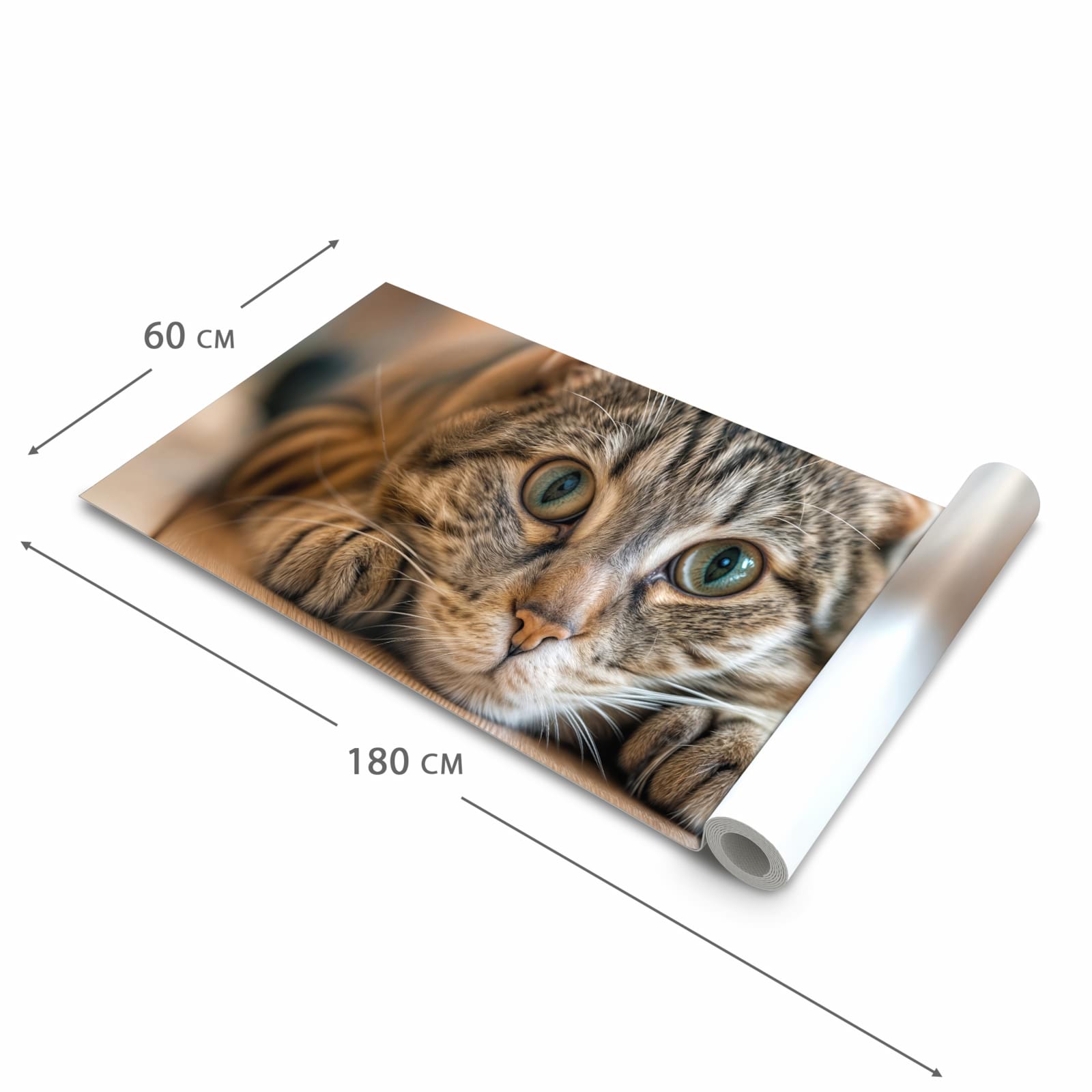 Geräuschdämpfender Küchenteppich mit Motiv Katzenschmuseerlebnis in der Größe 60x240 cm