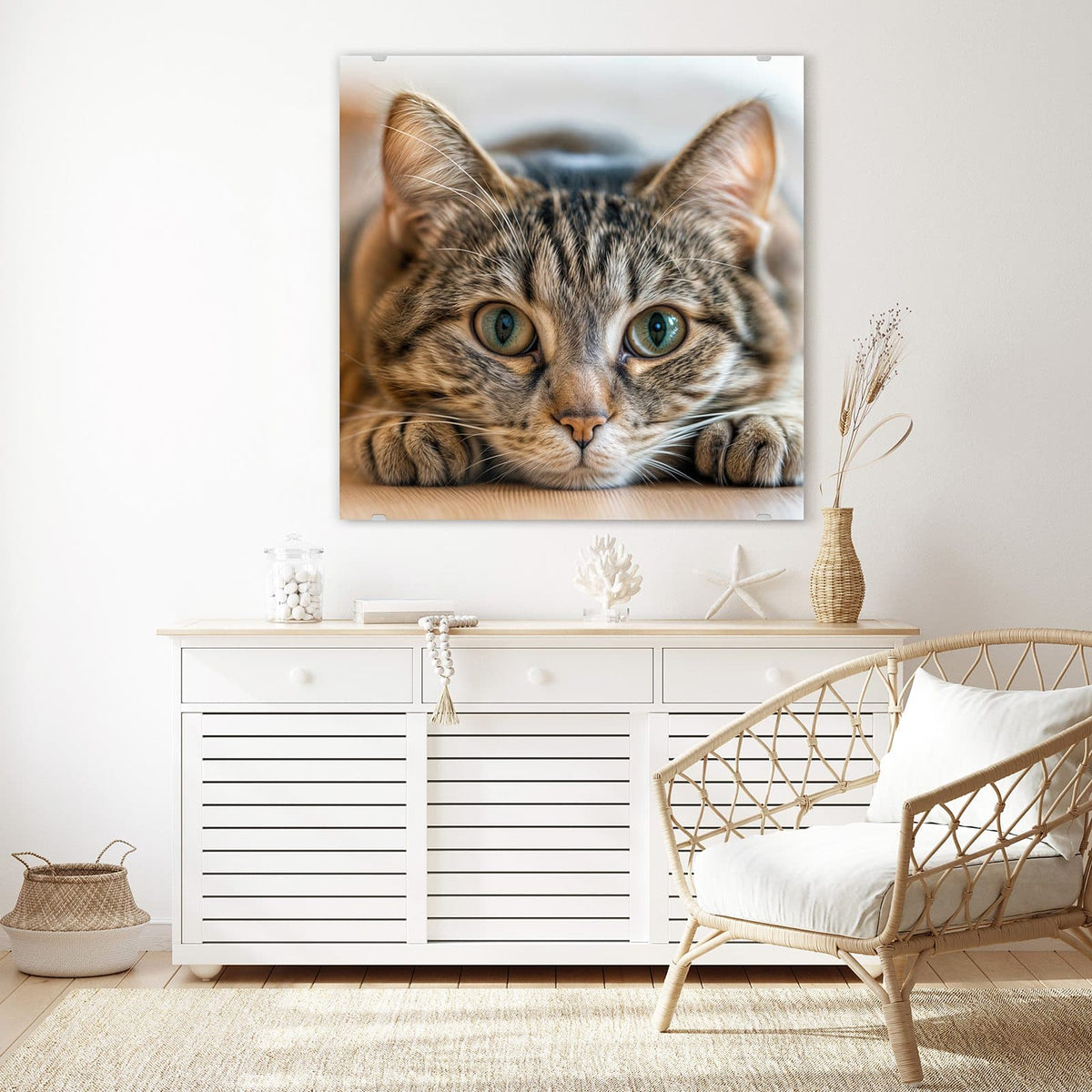 Echtglas, 4 mm – kein Acryl, keine Folie – Wandbild - Liegende Katze - Quadratisch