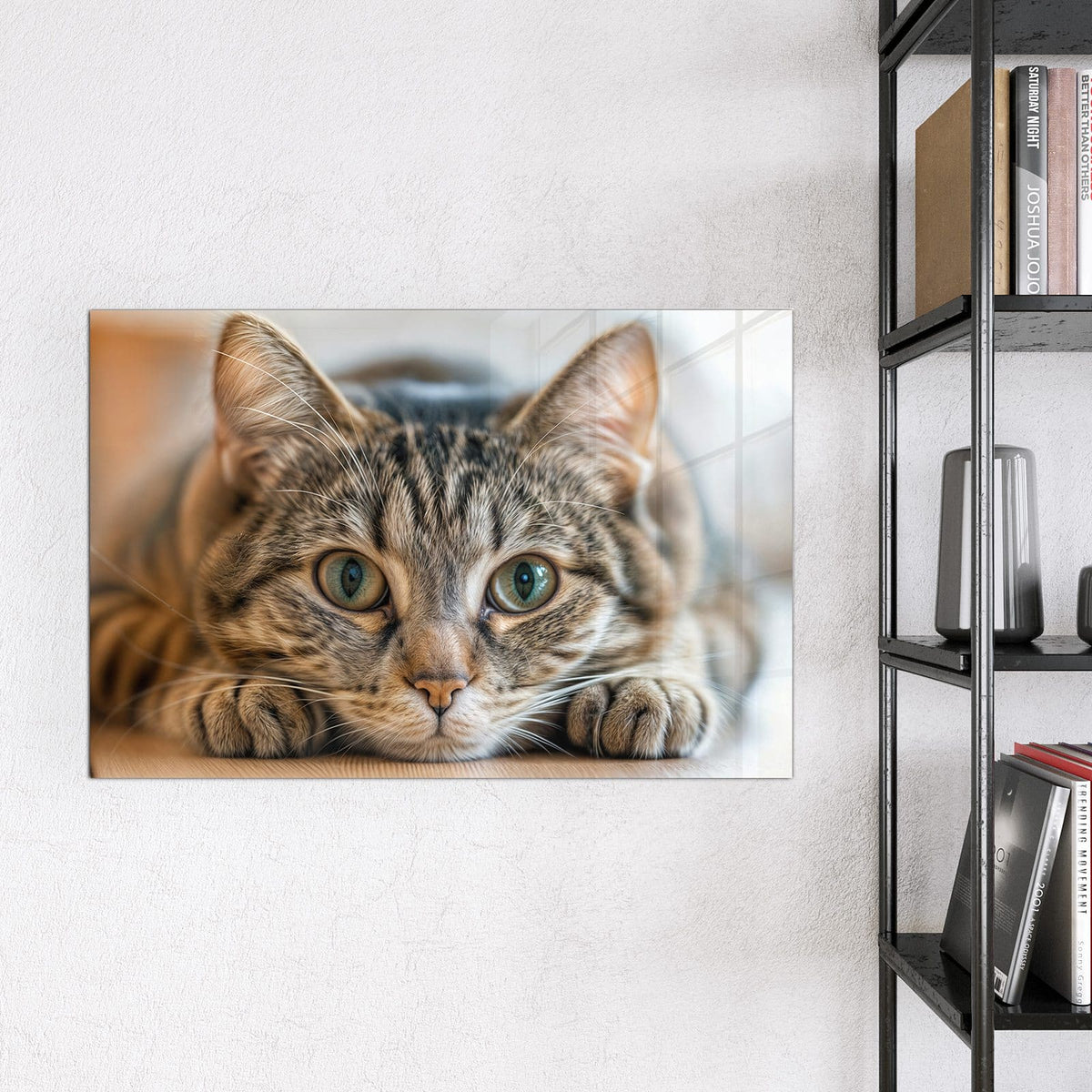 Magnettafel - Liegende Katze – Getigerte Katze mit großen grünen Augen
