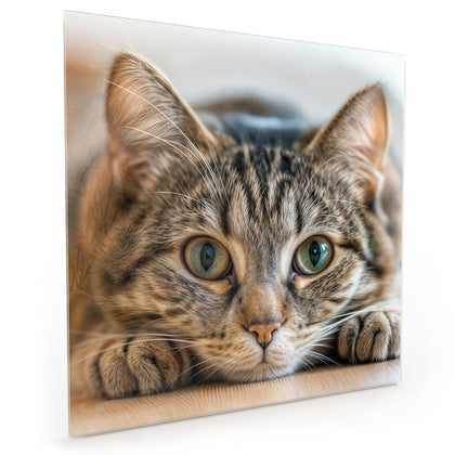 Küchenrückwand mit dem Motiv Liegende Katze