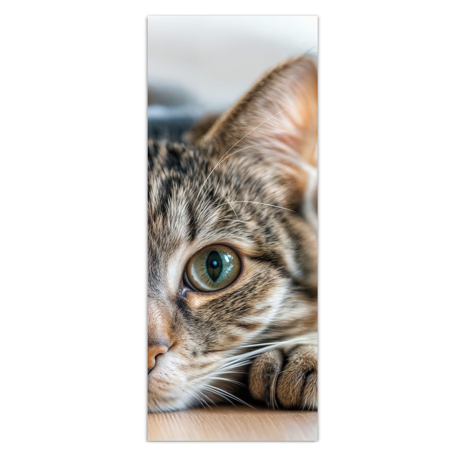 #grösse_50 x 125 cm #grösse_40 x 100 cm #grösse_60 x 150 cm