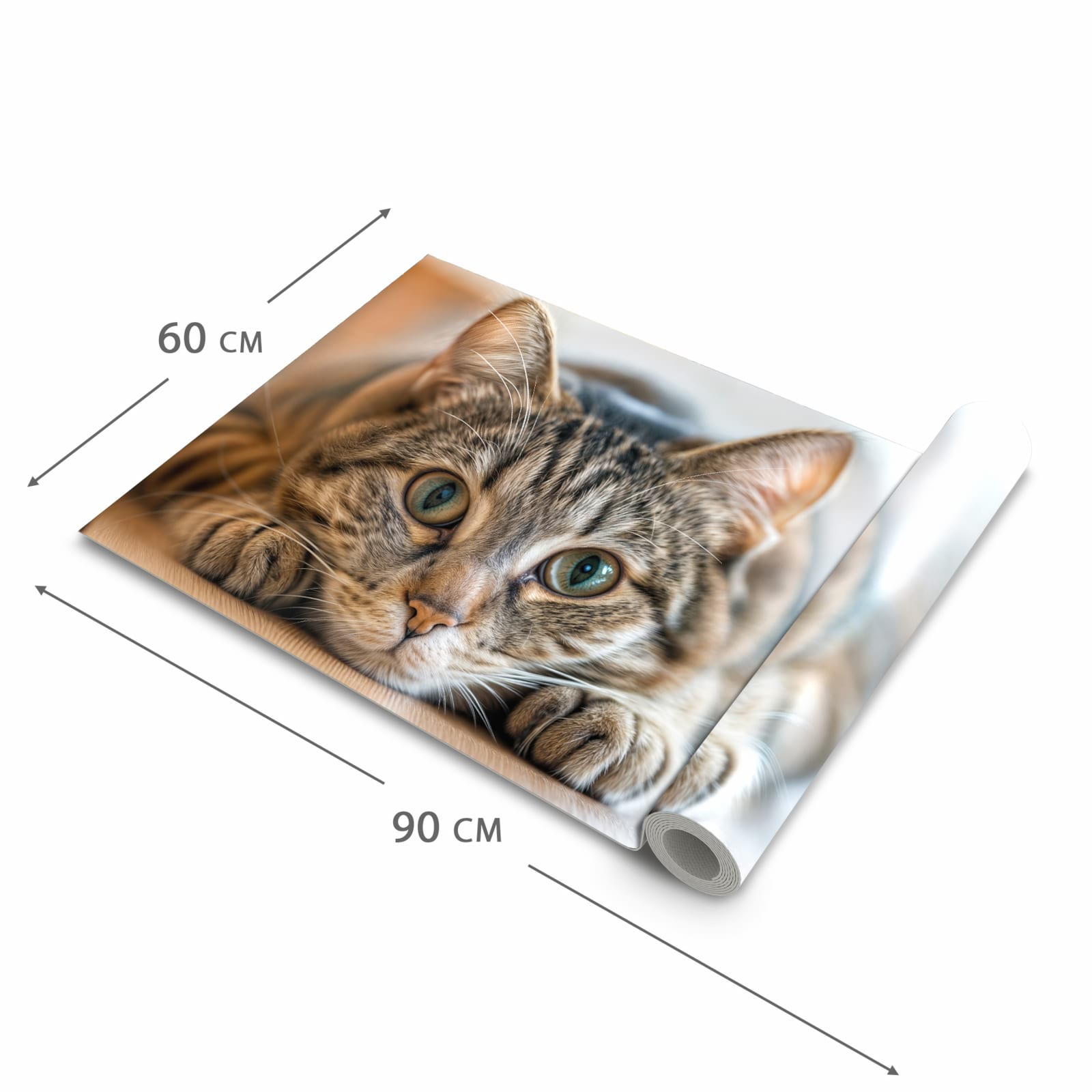 Wasserabweisender waschbarer Küchenteppich mit Motiv Katzenschmuseerlebnis in der Grösse 60x240 cm