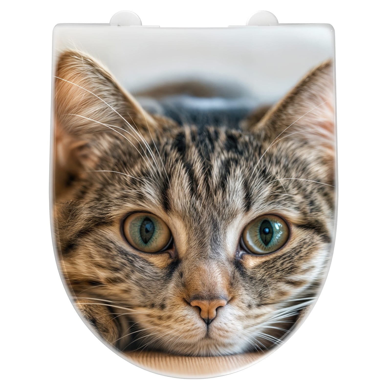 WC-Sitz mit Absenkautomatik Katzenschmuseerlebnis