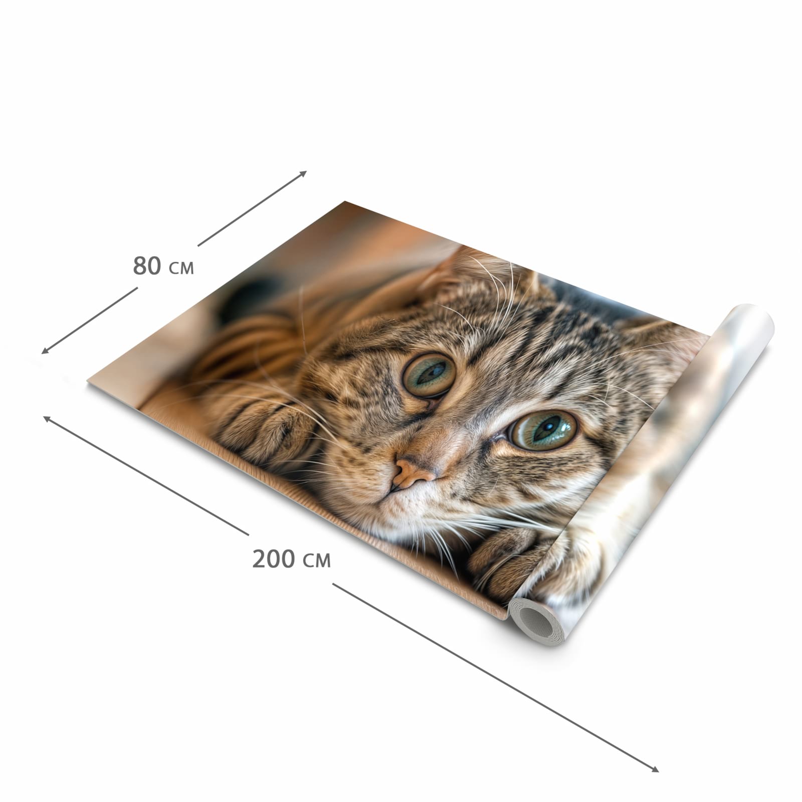 Fleckenresistenter großer Küchenteppich mit Motiv Katzenschmuseerlebnis in der Größe 60x240 cm