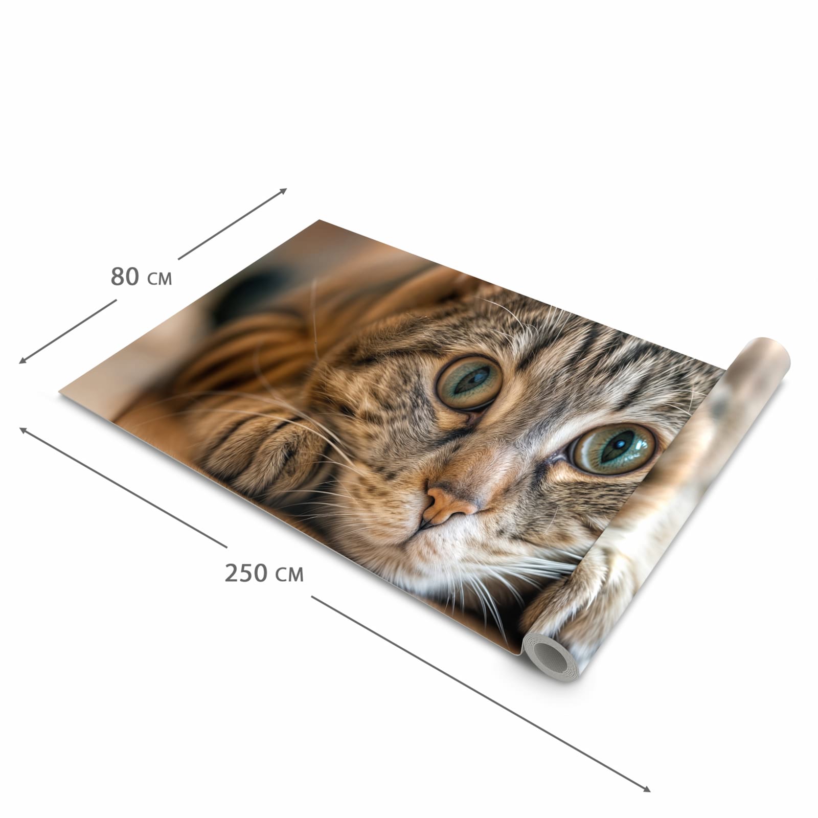 Schmutzabweisender rutschfester Küchenteppich mit Motiv Katzenschmuseerlebnis in der Größe 60x240 cm