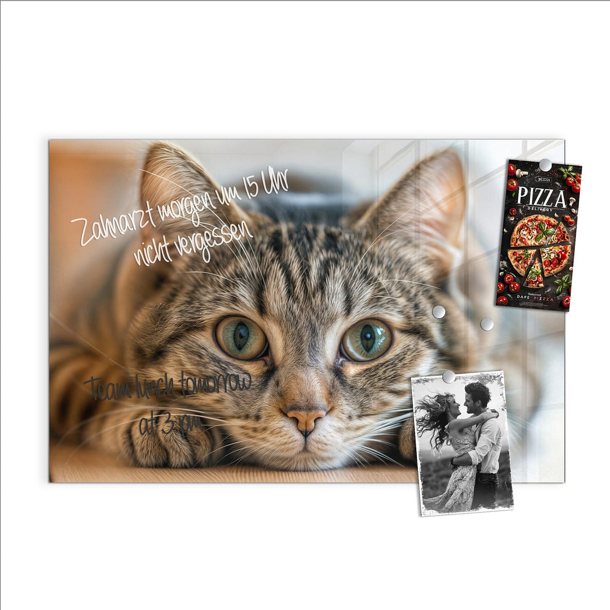 Beschreiben, abwischen, anheften – Magnettafel - Liegende Katze