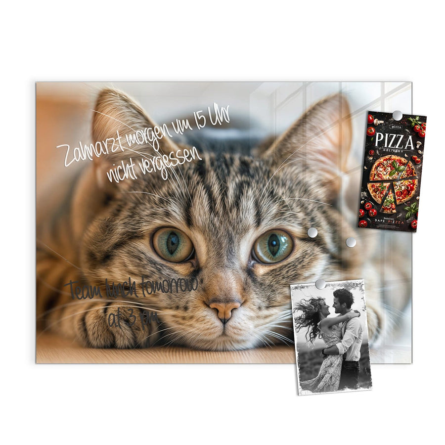 Maße Magnettafel - Liegende Katze