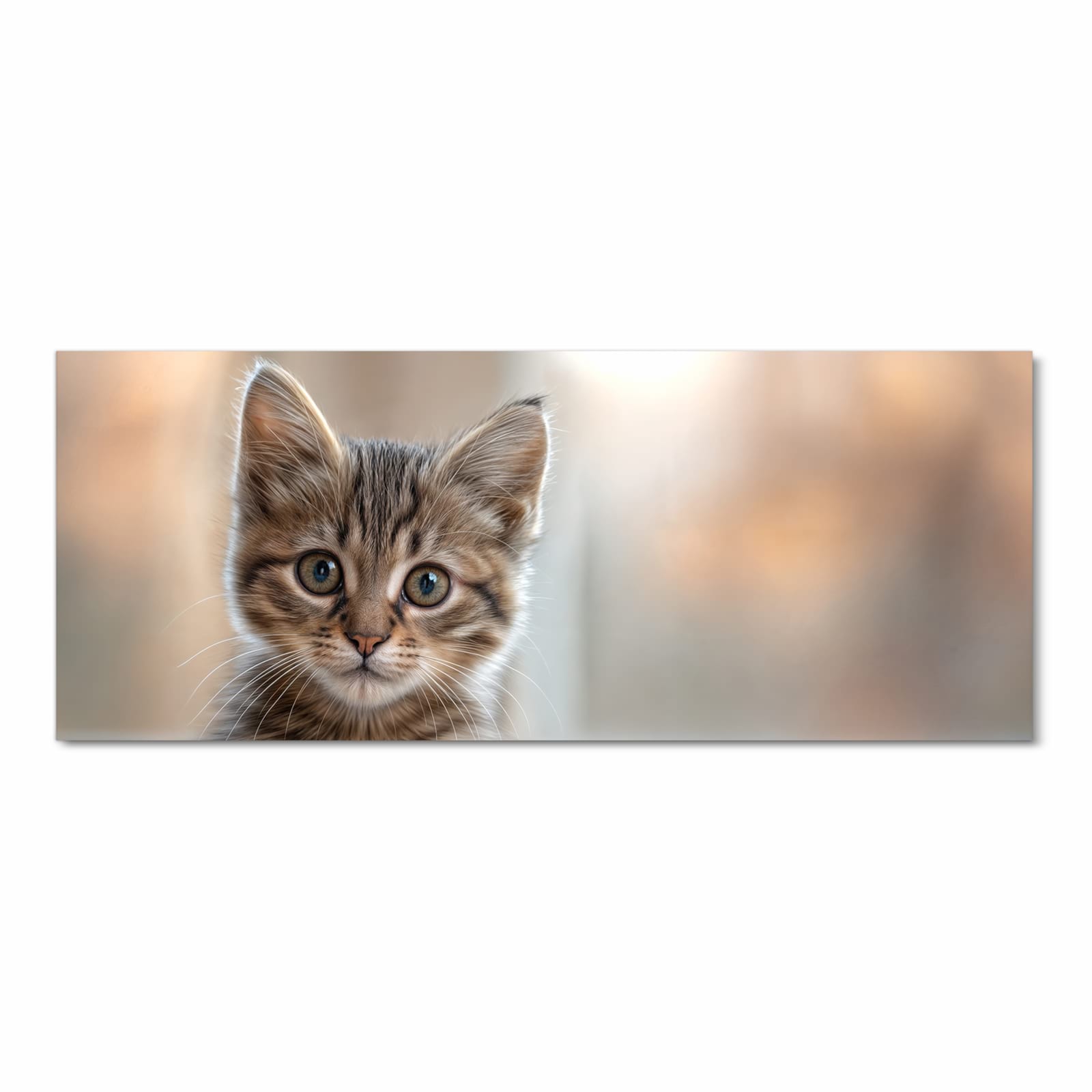 UV-beständiger Küchenteppich mit Motiv Katzenjunges in Frontansicht