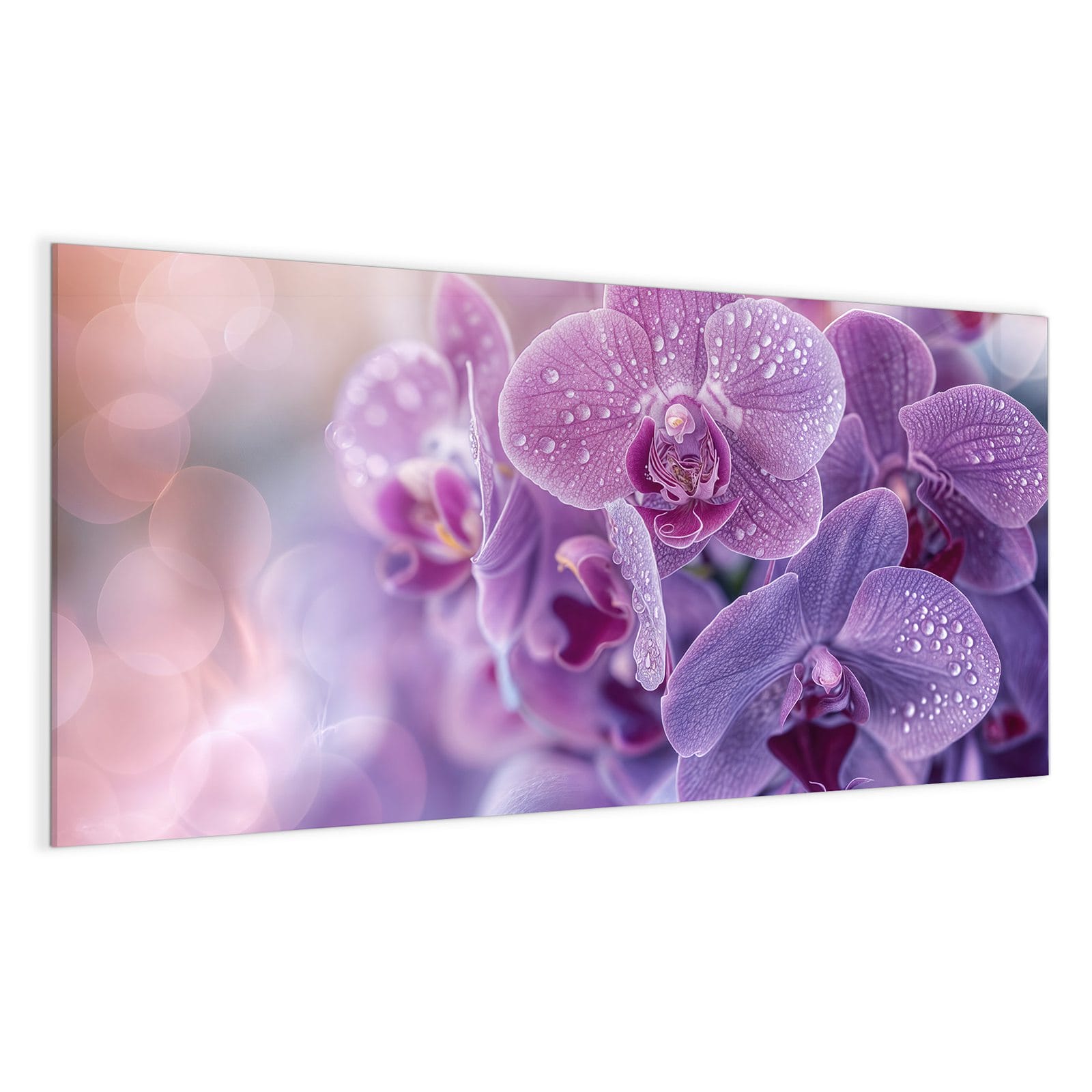 #grösse_100 x 50 cm