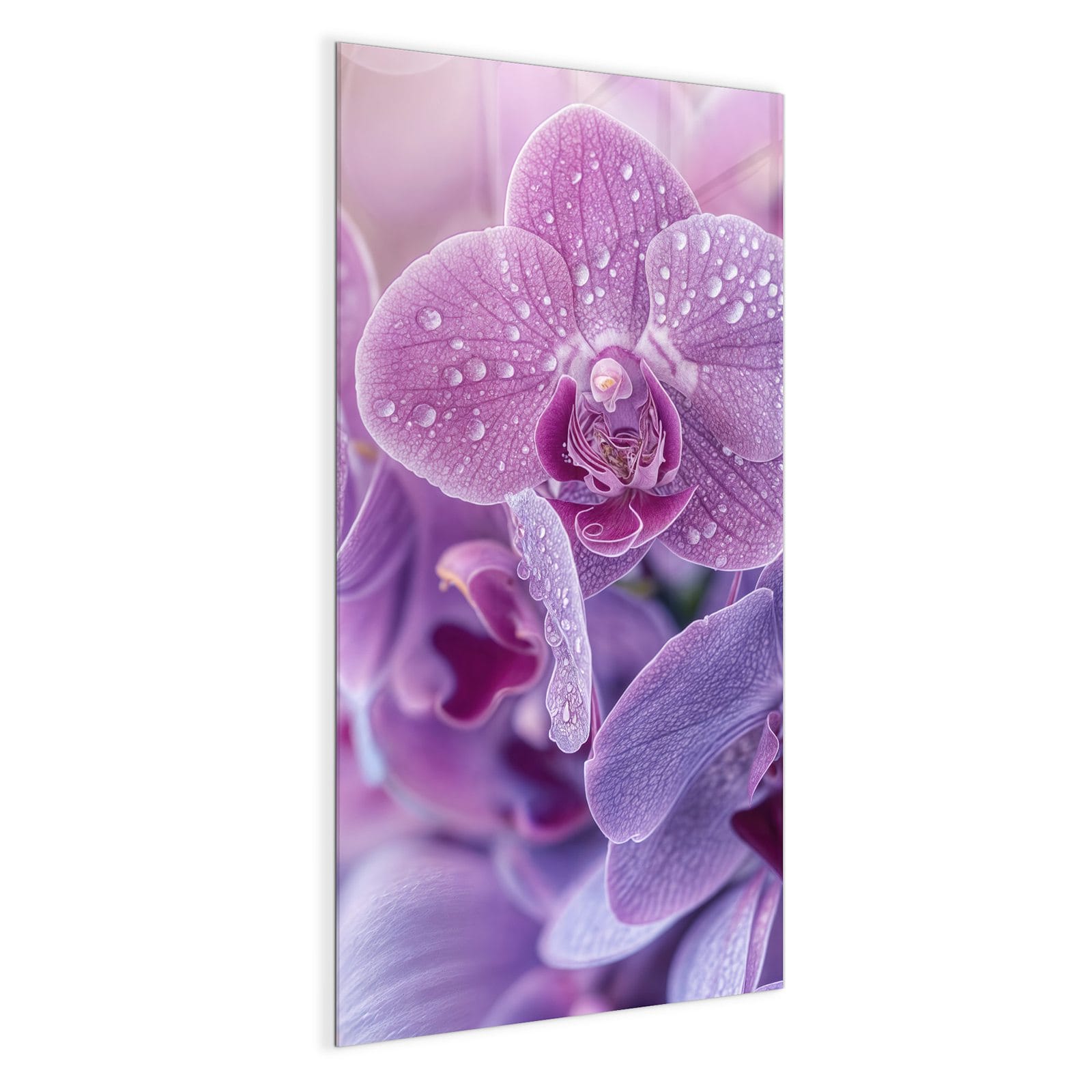 #grösse_50 x 100 cm