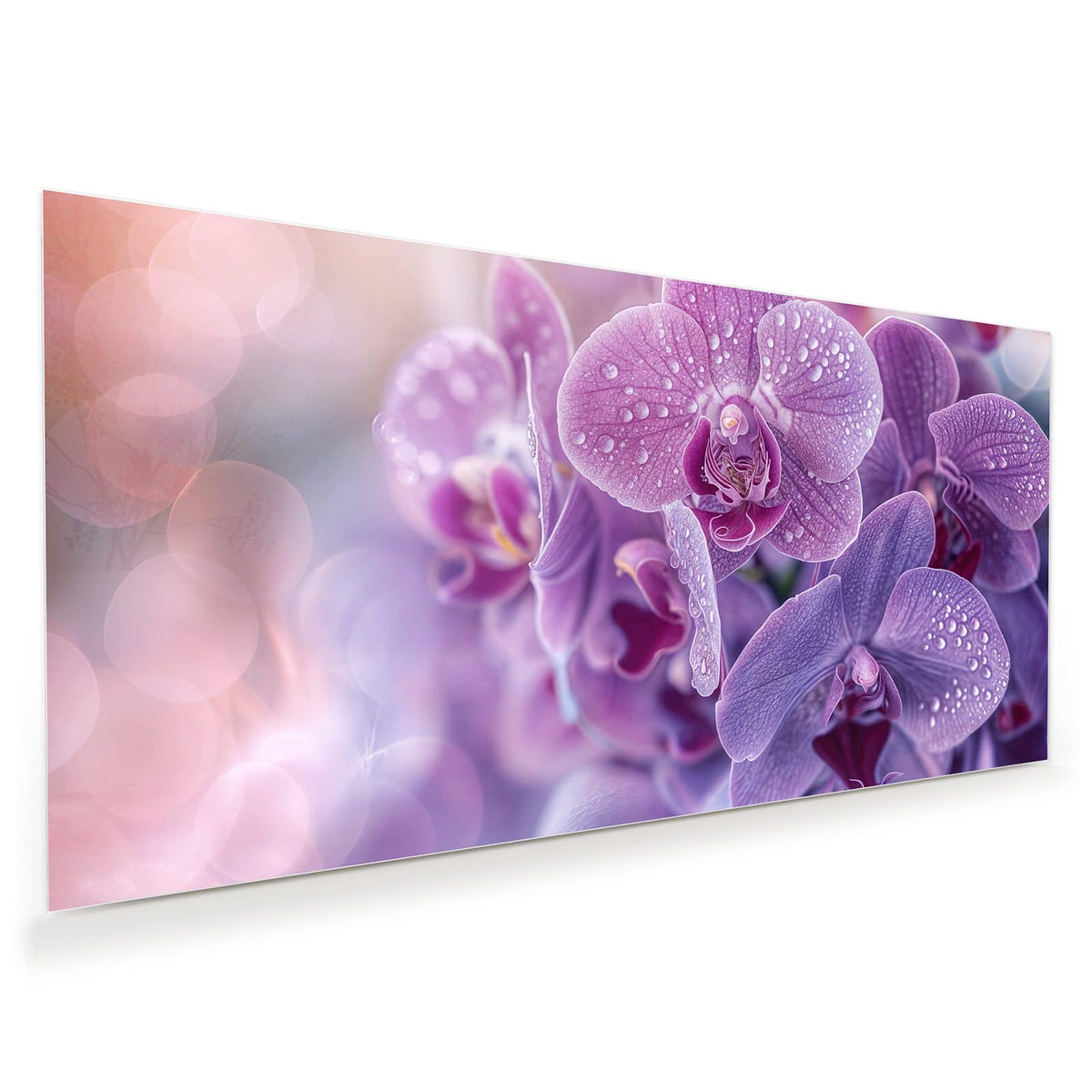 Violette Orchideenblüten mit vielen Wassertropfen, dicht gestaffelt