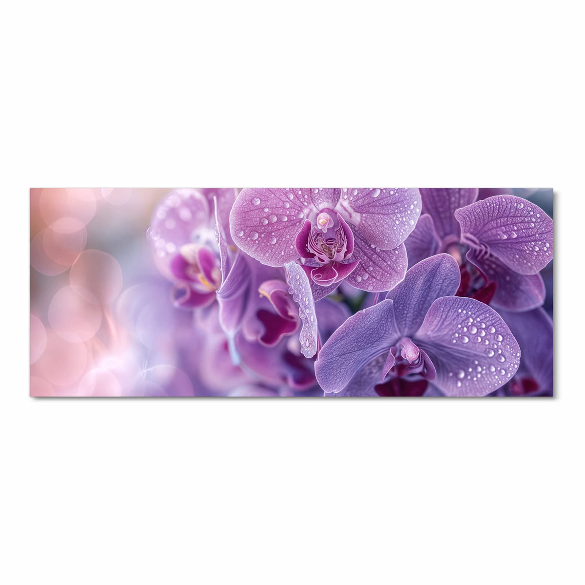 Violette Orchideenblüten mit vielen Wassertropfen, dicht gestaffelt