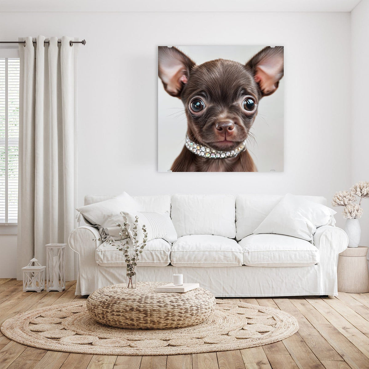 Glasbild Chihuahua mit Halsband an der Wand – Schokobrauner Chihuahua-Welpe mit riesigen Ohren und Strasshalsband