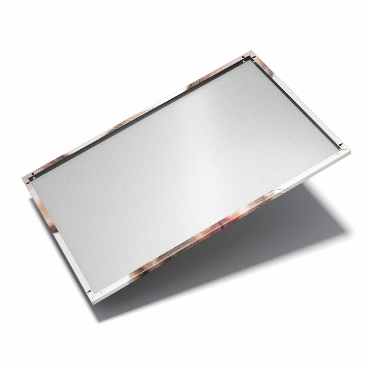 Nur 7 mm – liegt eng an der Wand – Metall Magnettafel - Chihuahua mit Halsband