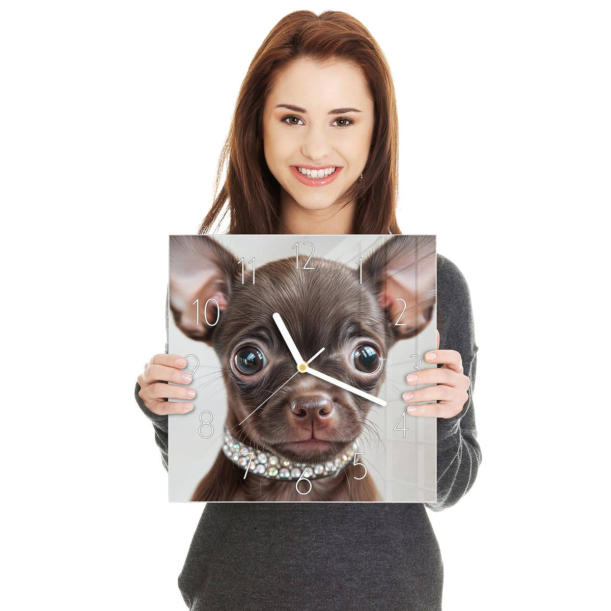 Schokobrauner Chihuahua-Welpe mit riesigen Ohren und Strasshalsband