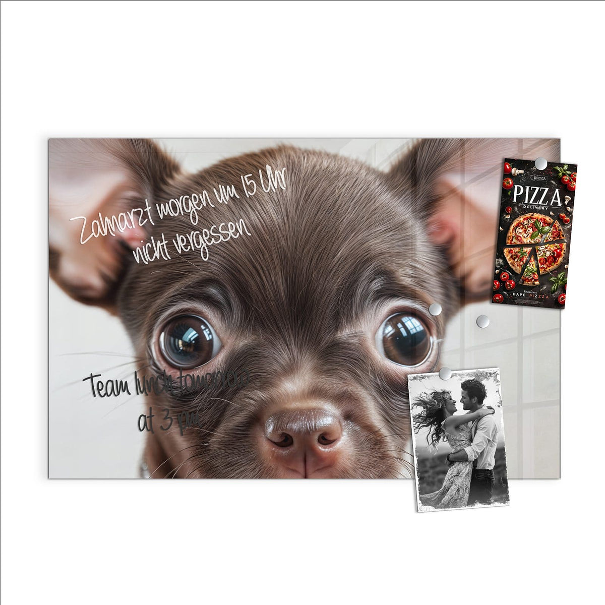 Beschreiben, abwischen, anheften – Magnettafel - Chihuahua mit Halsband
