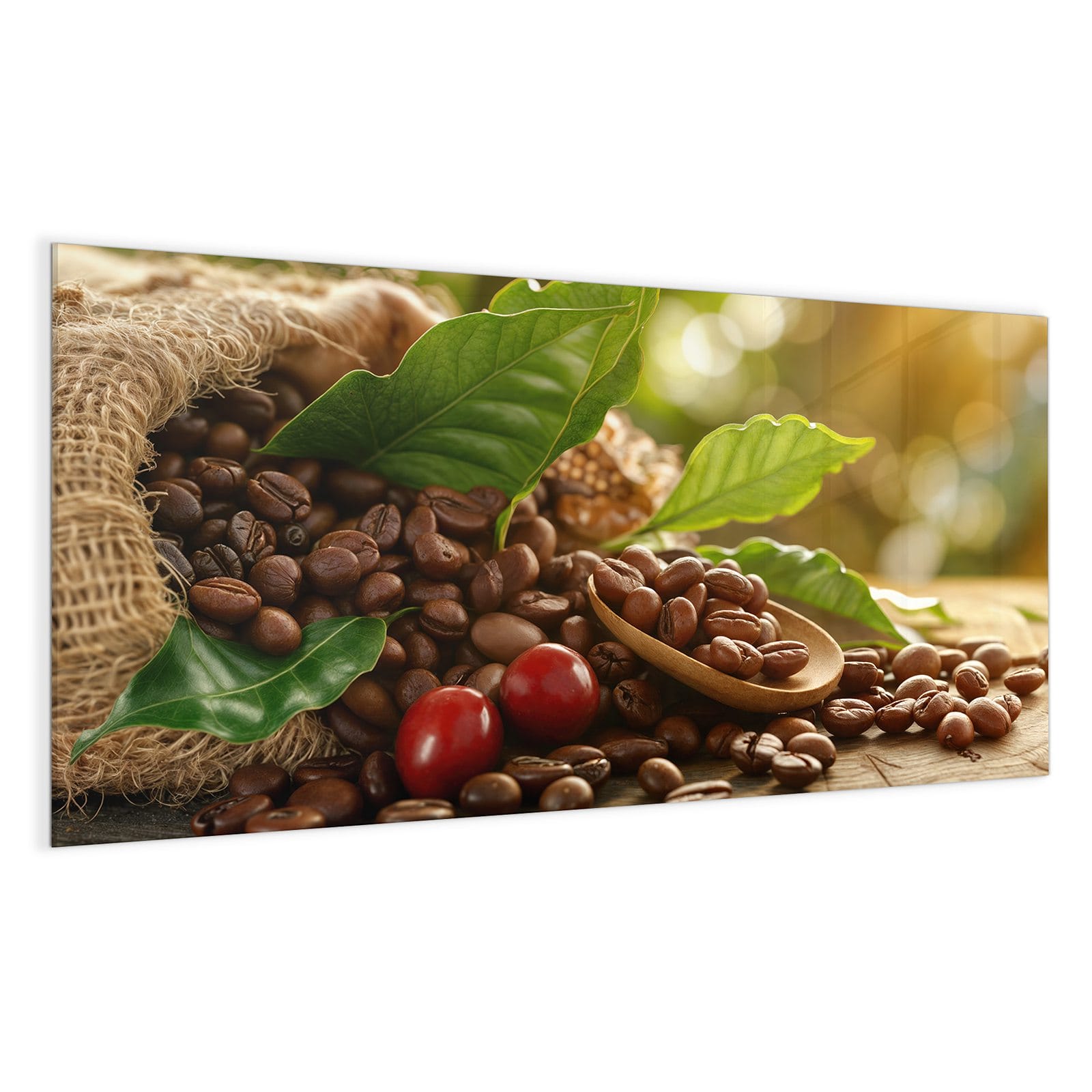 #grösse_100 x 50 cm