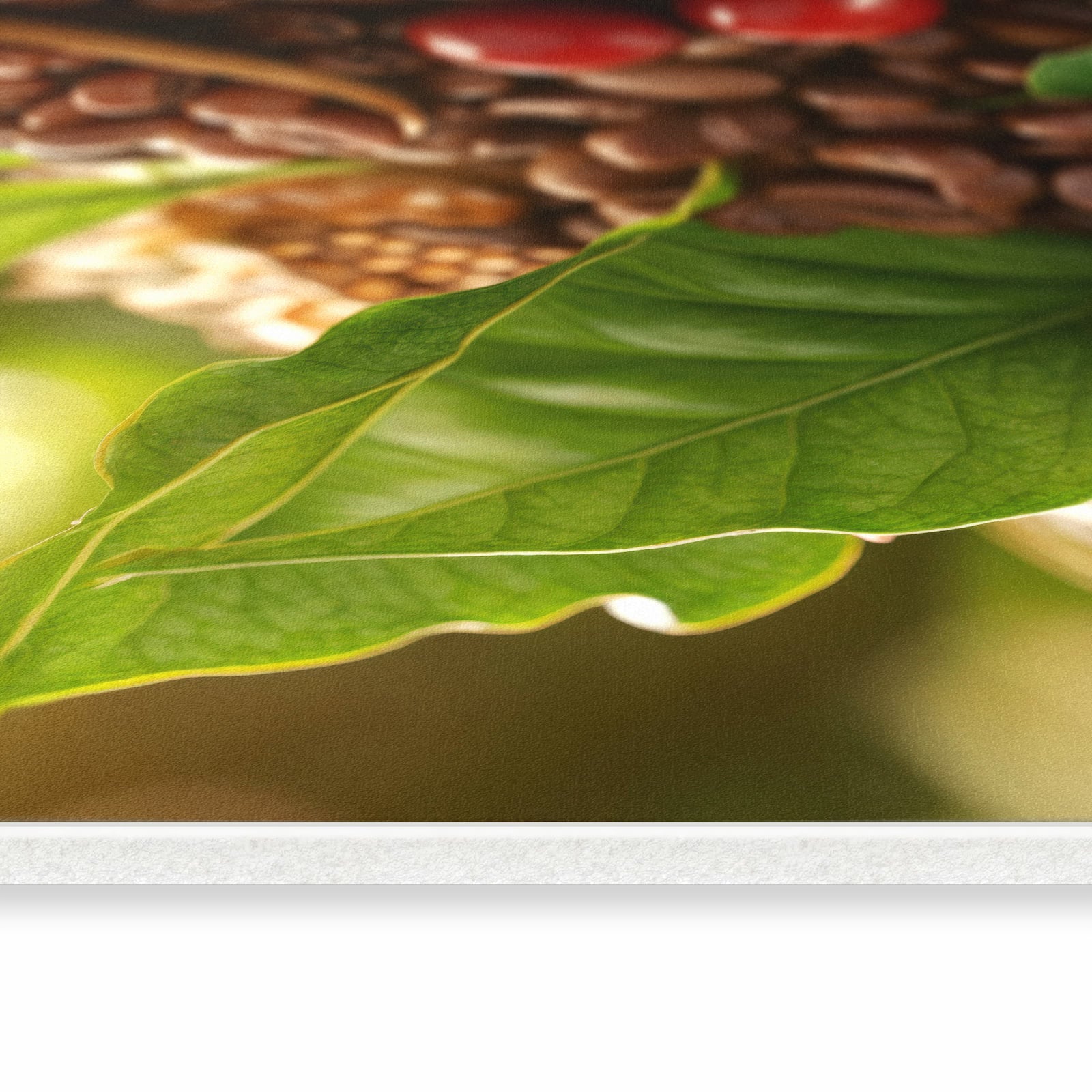 Teppichläufer für die Küche mit Motiv Kaffeebohnen in seitlicher Ansicht für sichere Aufbewahrung