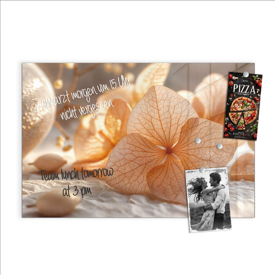Maße Glas Magnettafel - Hortensie in Apricot