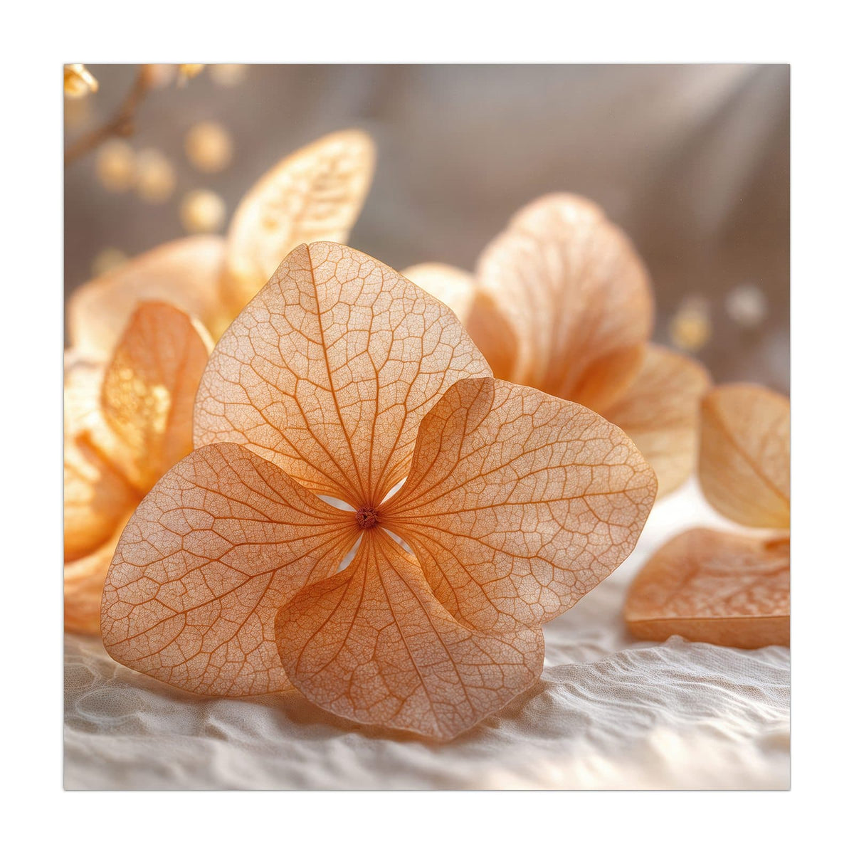 Durchscheinende, fein geäderte Hortensienblüten in Apricot auf hellem Stoff.
