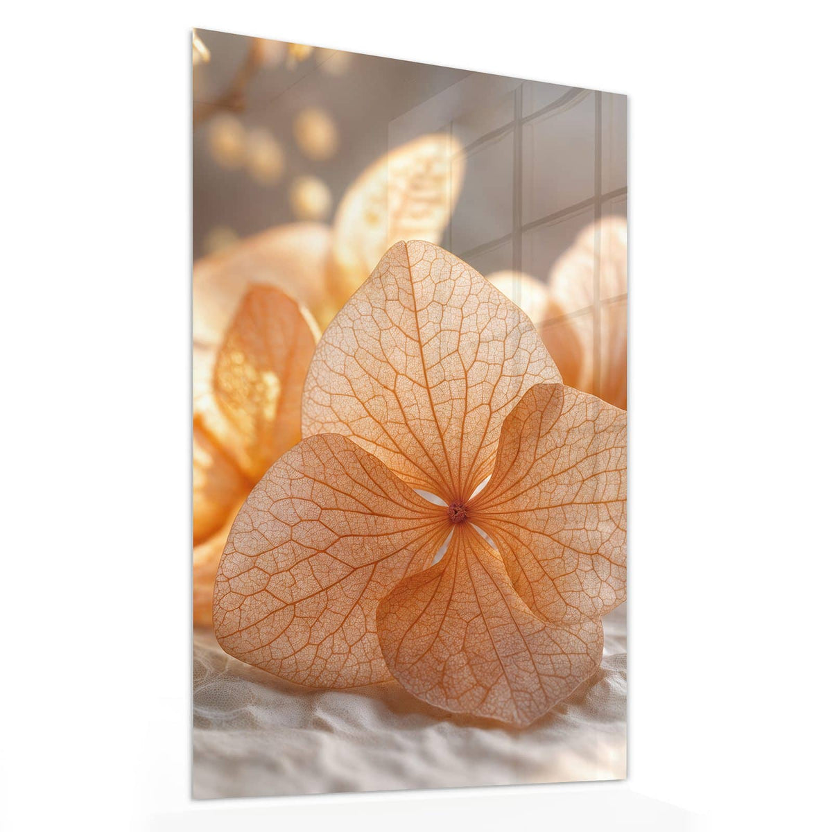 Glasbild Hortensie in Apricot von der Seite, 4 mm Echtglas