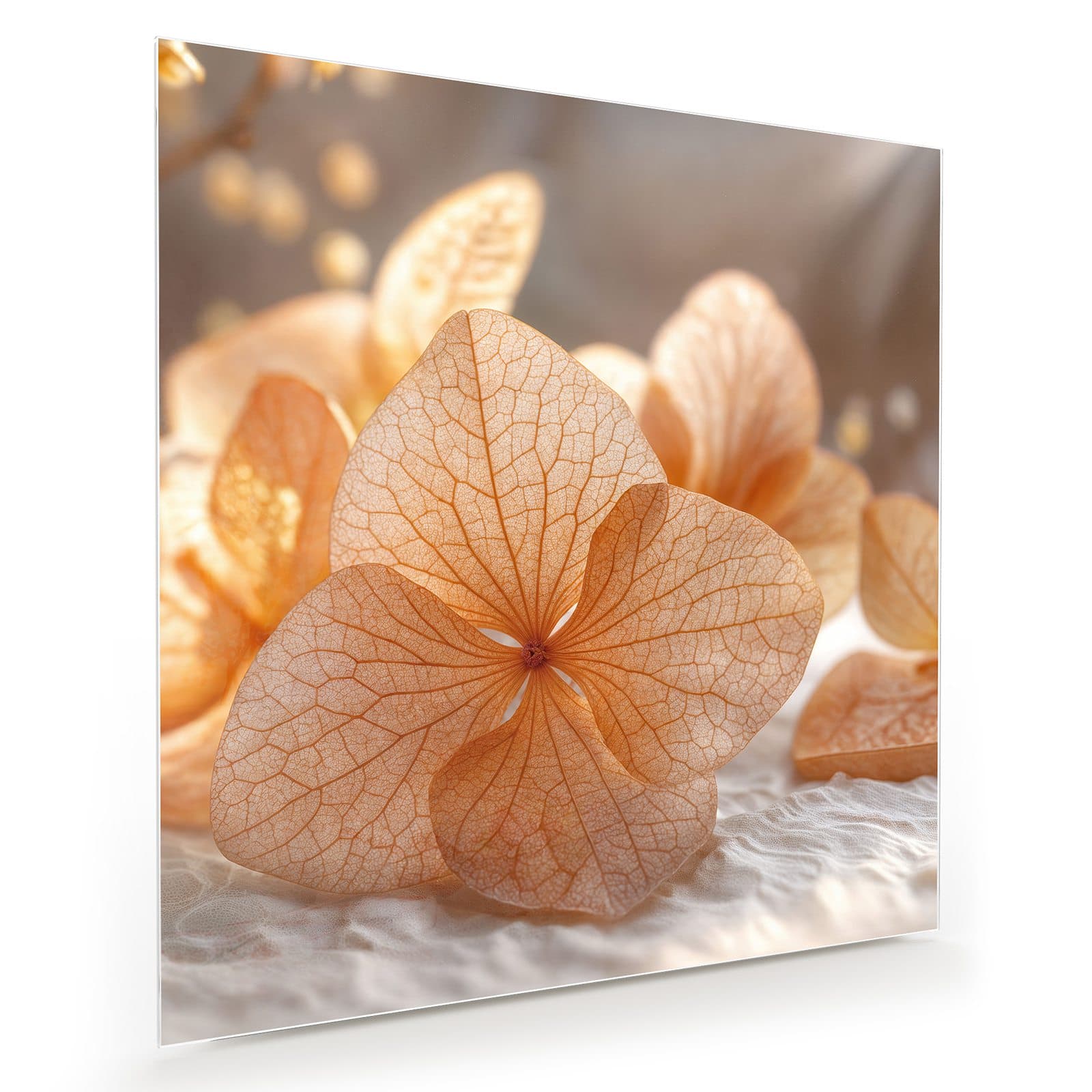 #grösse_30 x 30 cm #grösse_40 x 40 cm #grösse_50 x 50 cm #grösse_60 x 60 cm #grösse_70 x 70 cm #grösse_80 x 80 cm #grösse_90 x 90 cm #grösse_100 x 100 cm