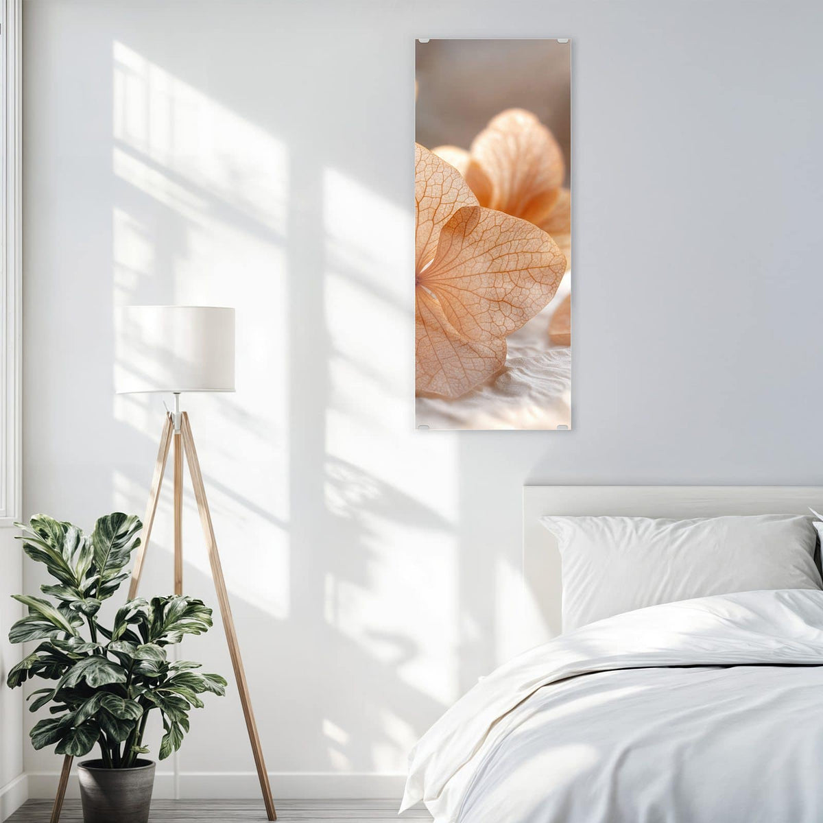 Glasbild Hortensie in Apricot an der Wand – Durchscheinende, fein geäderte Hortensienblüten in Apricot auf hellem Stoff.