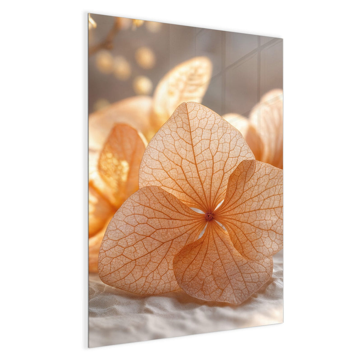 Durchscheinende, fein geäderte Hortensienblüten in Apricot auf hellem Stoff.