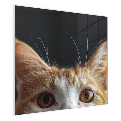 Magnettafel mit dem Motiv Katze mit Bernsteinaugen