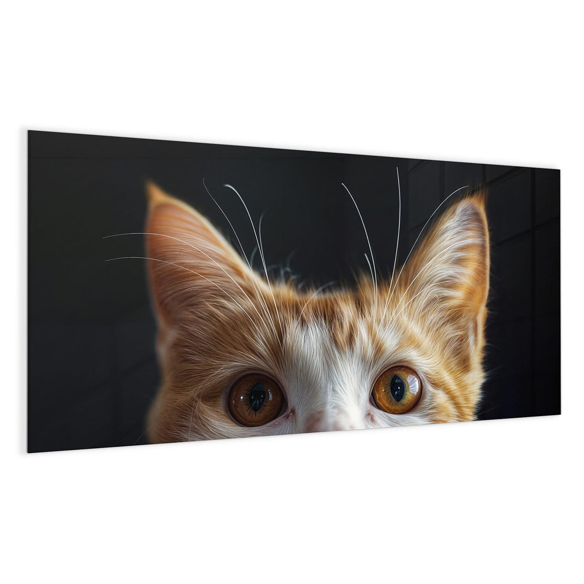 Rot-weiße Katze schaut von unten ins Bild, nur Ohren und große bernsteinfarbene Augen vor Schwarz