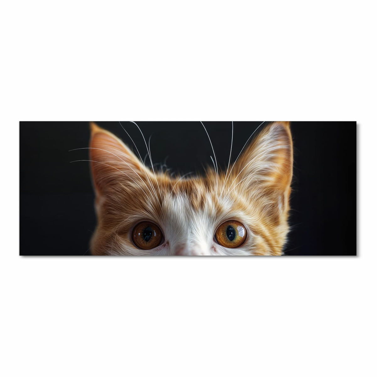 Rot-weiße Katze schaut von unten ins Bild, nur Ohren und große bernsteinfarbene Augen vor Schwarz